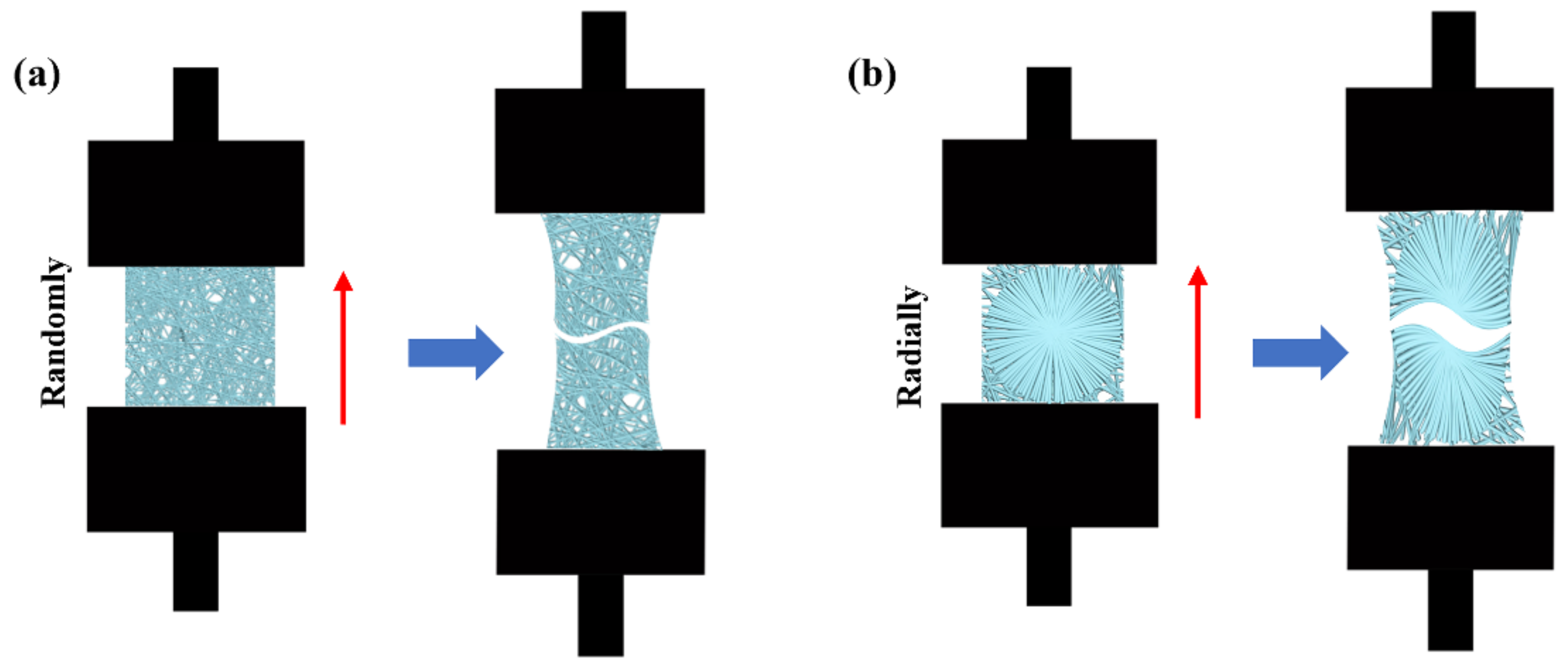Nanomaterials 13 01150 g002