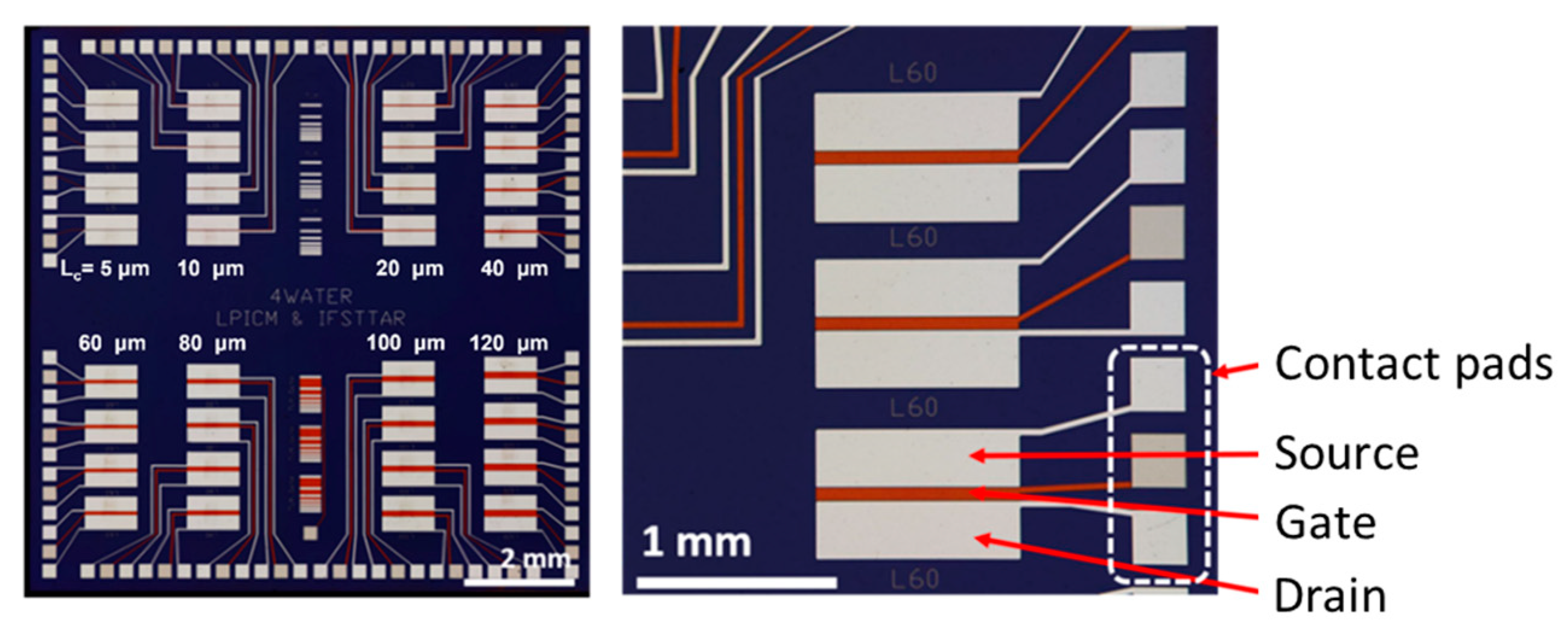 Nanomaterials 13 01157 g002