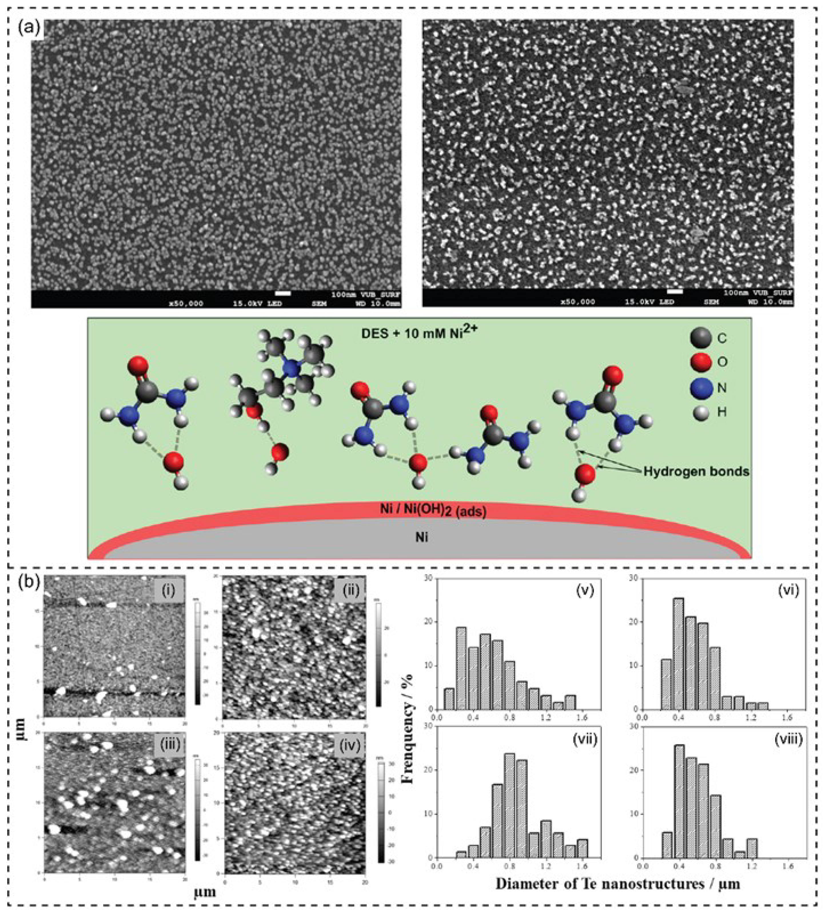 Nanomaterials 13 01164 g005