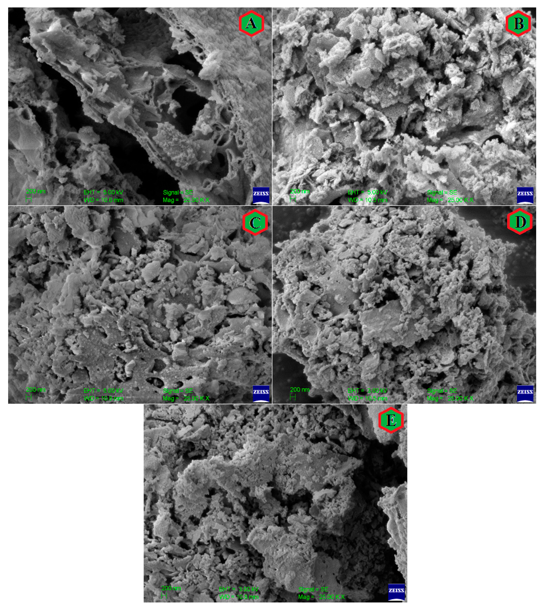 Nanomaterials 13 01165 g005