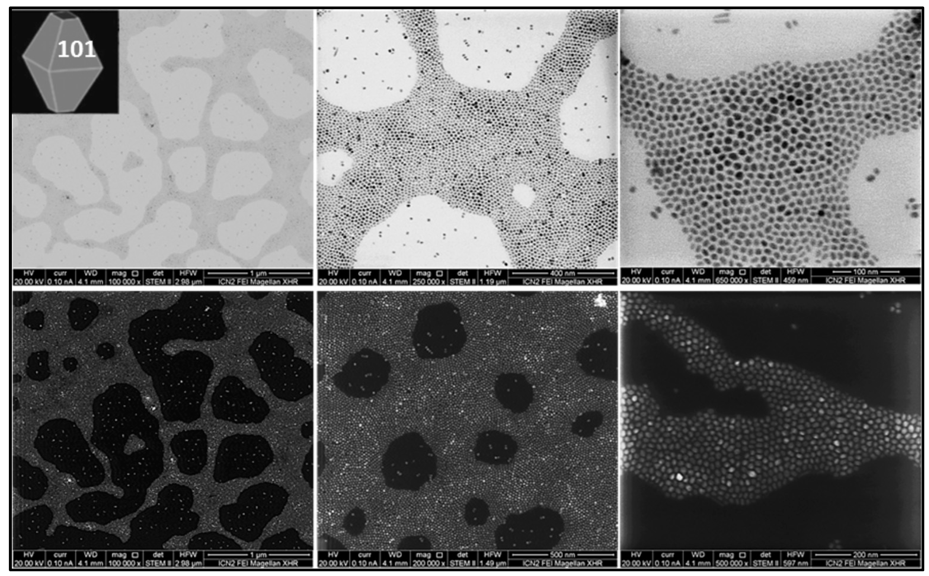 Nanomaterials 13 01174 g001
