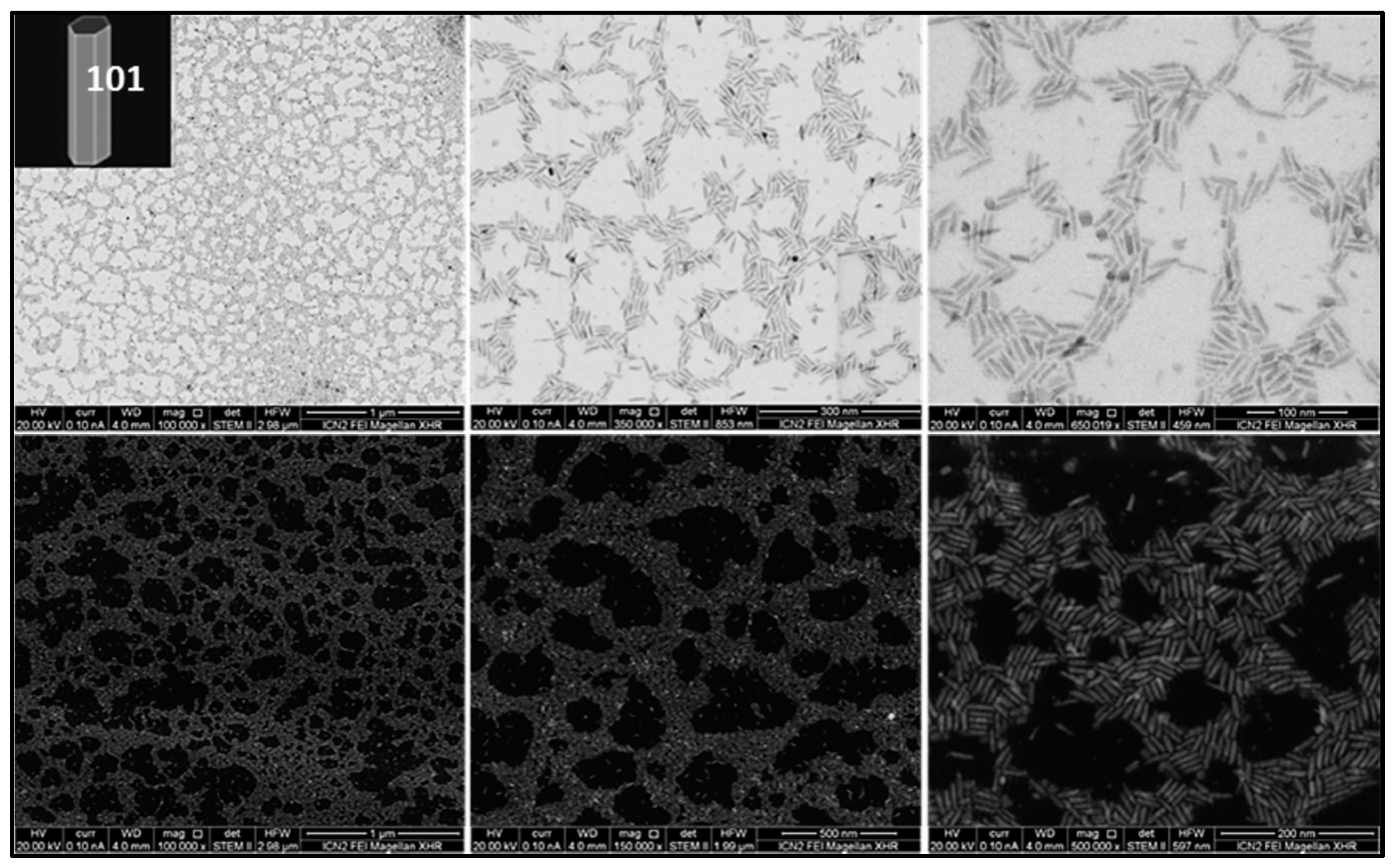 Nanomaterials 13 01174 g002