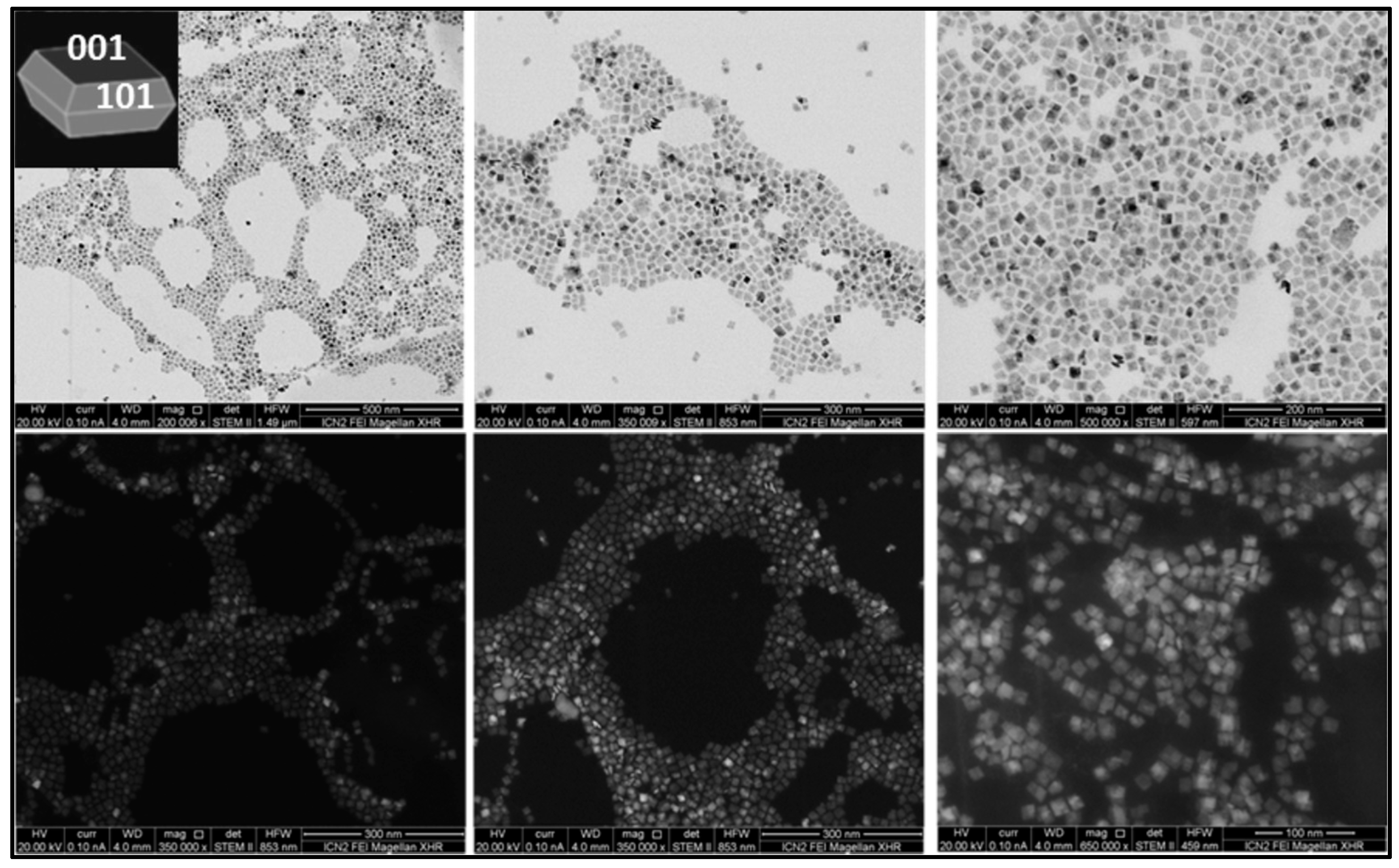 Nanomaterials 13 01174 g003