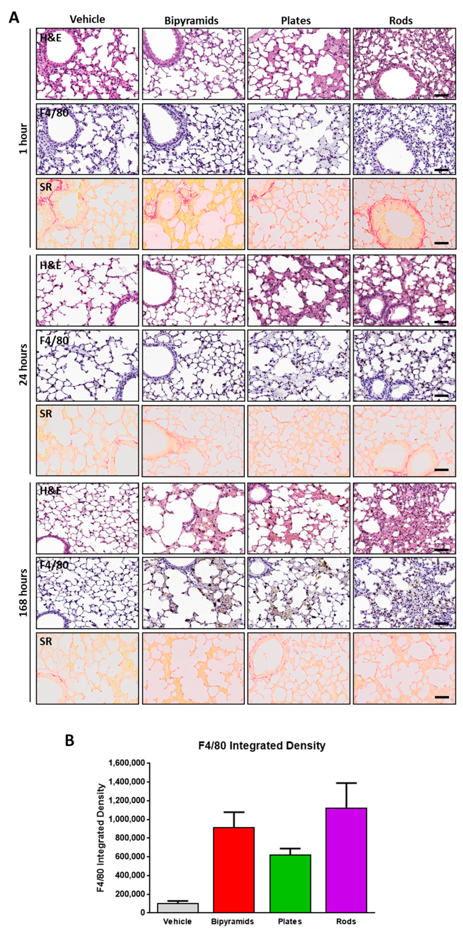 Nanomaterials 13 01174 g008
