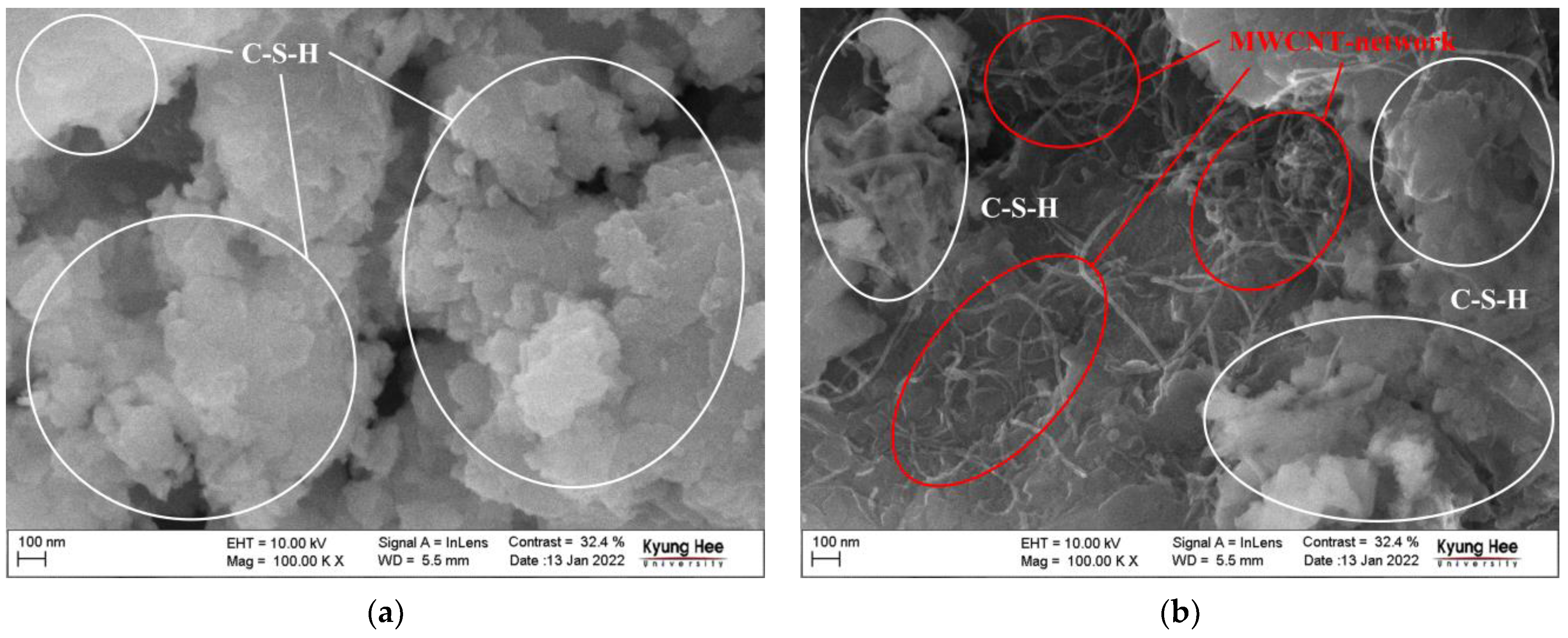 Nanomaterials 13 01183 g003