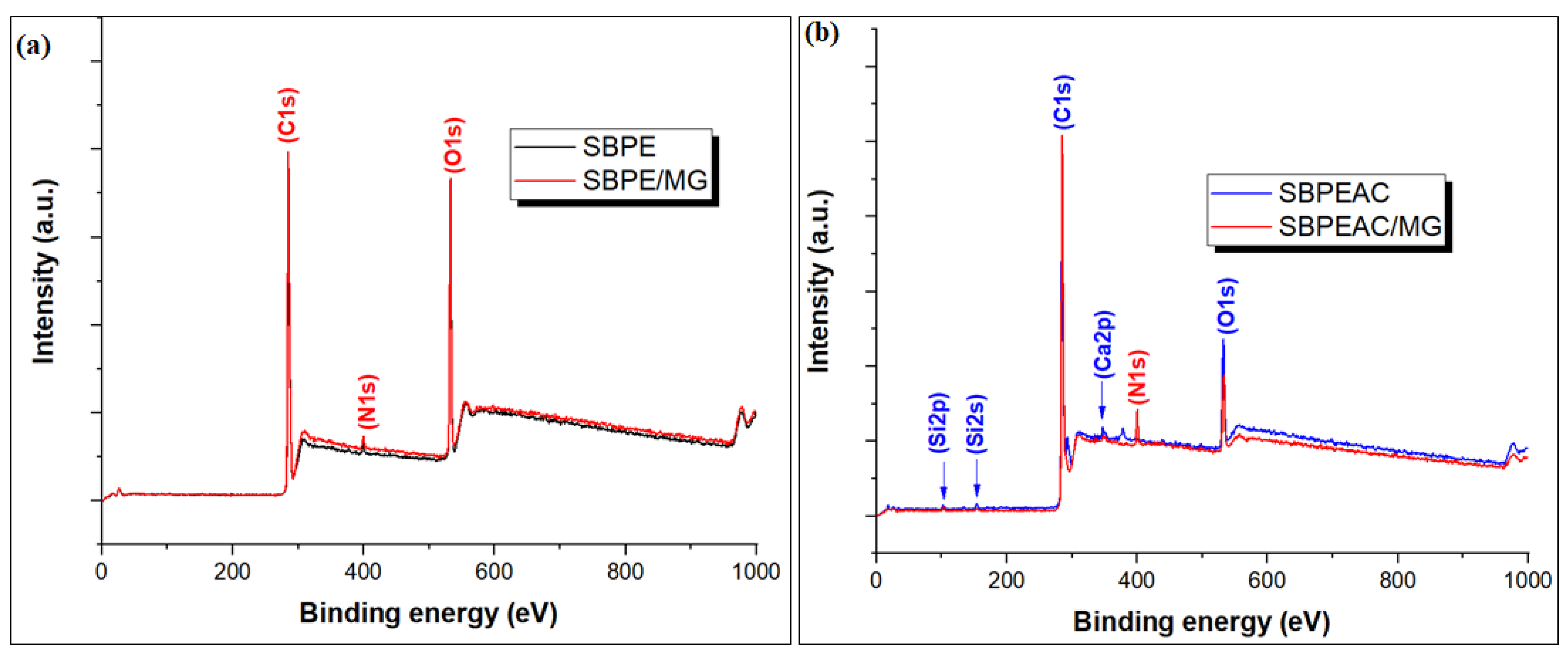 Nanomaterials 13 01193 g002