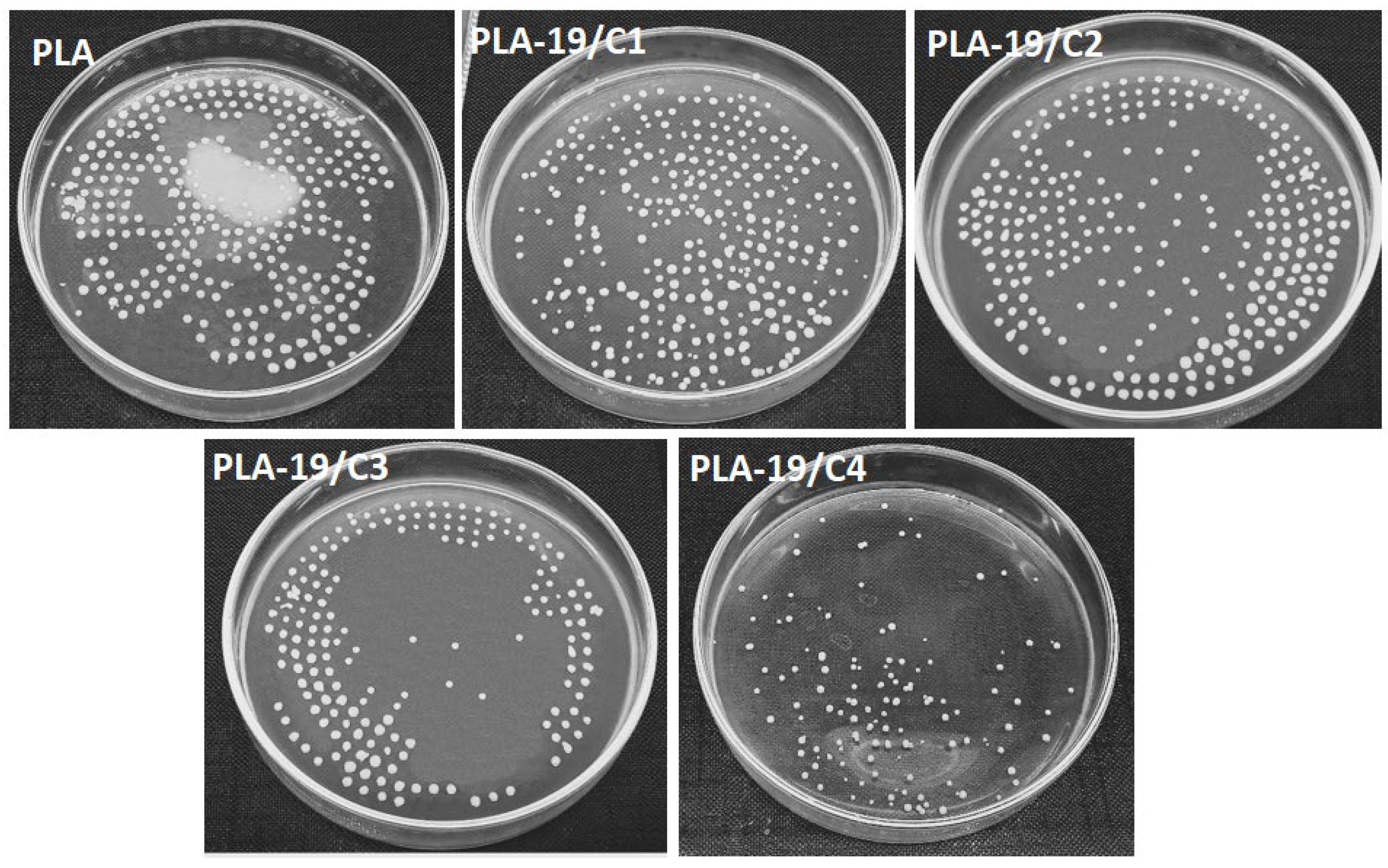 Nanomaterials 13 01195 g008
