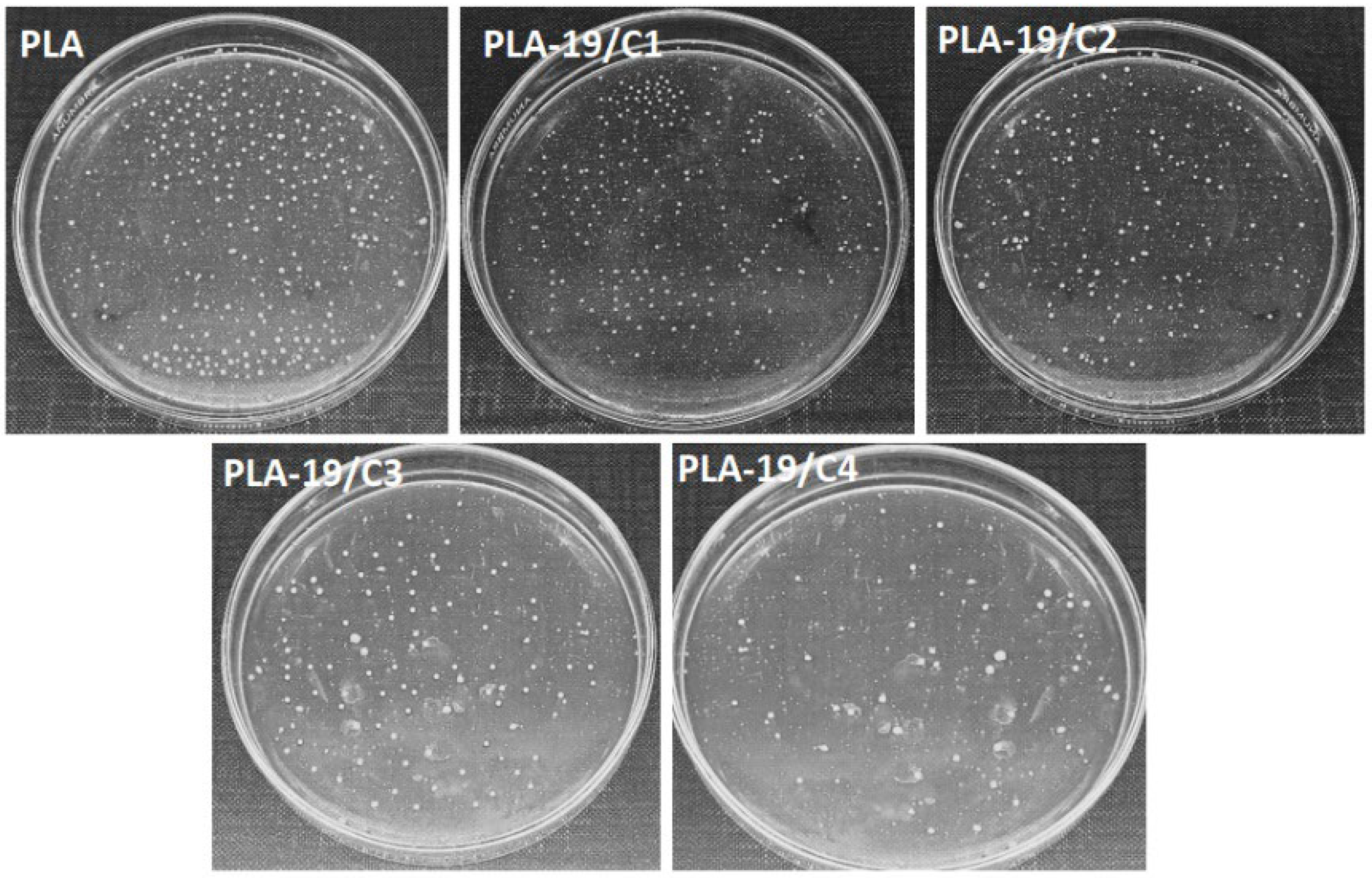 Nanomaterials 13 01195 g009