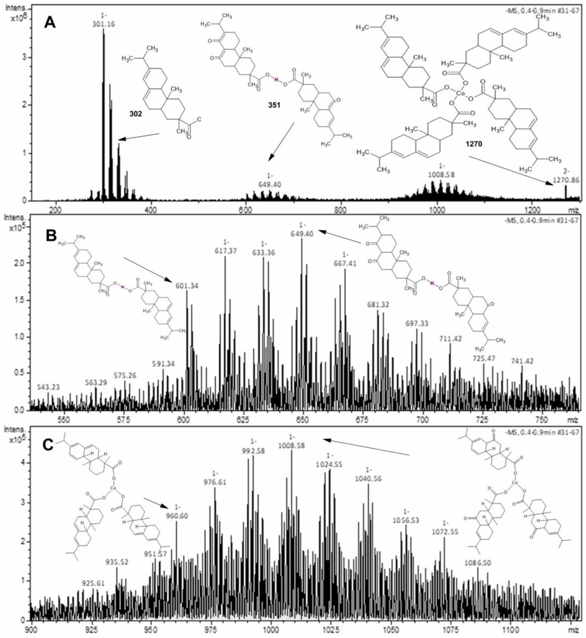 Nanomaterials 13 01202 g002