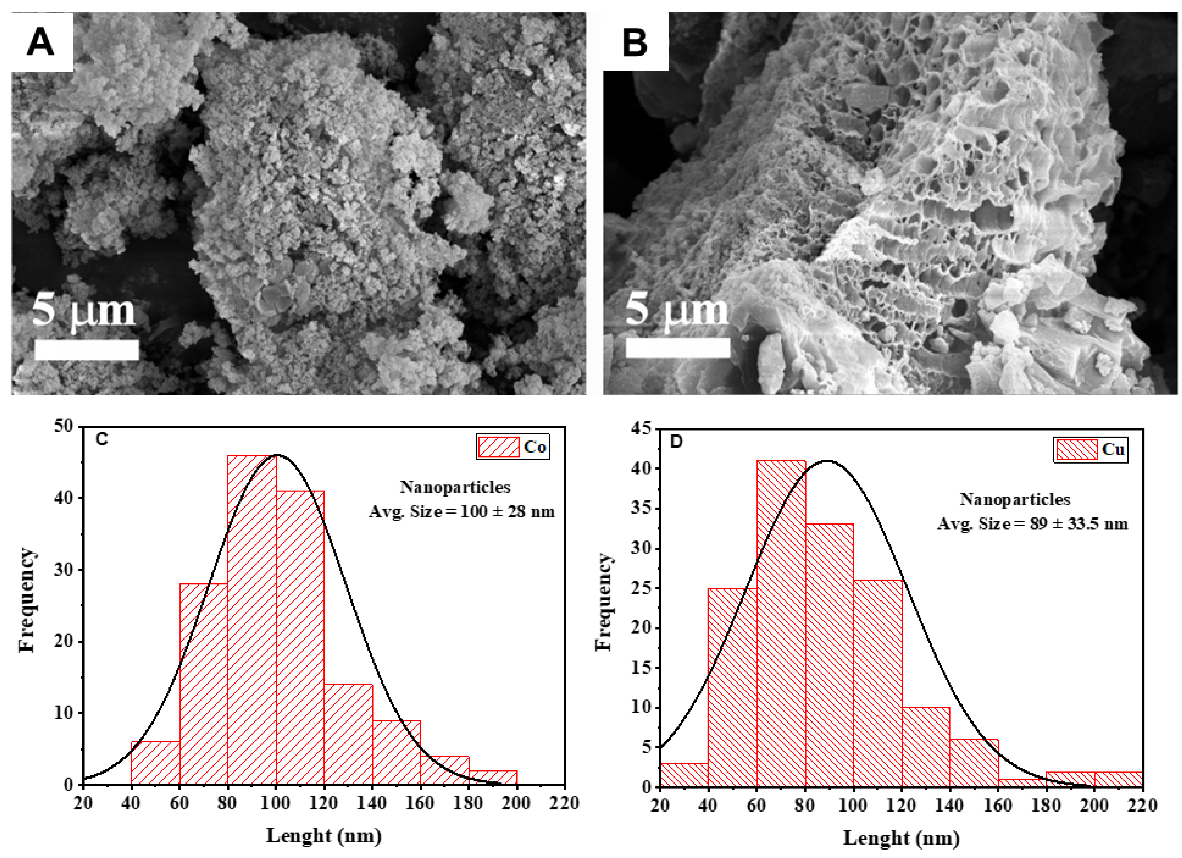 Nanomaterials 13 01202 g006