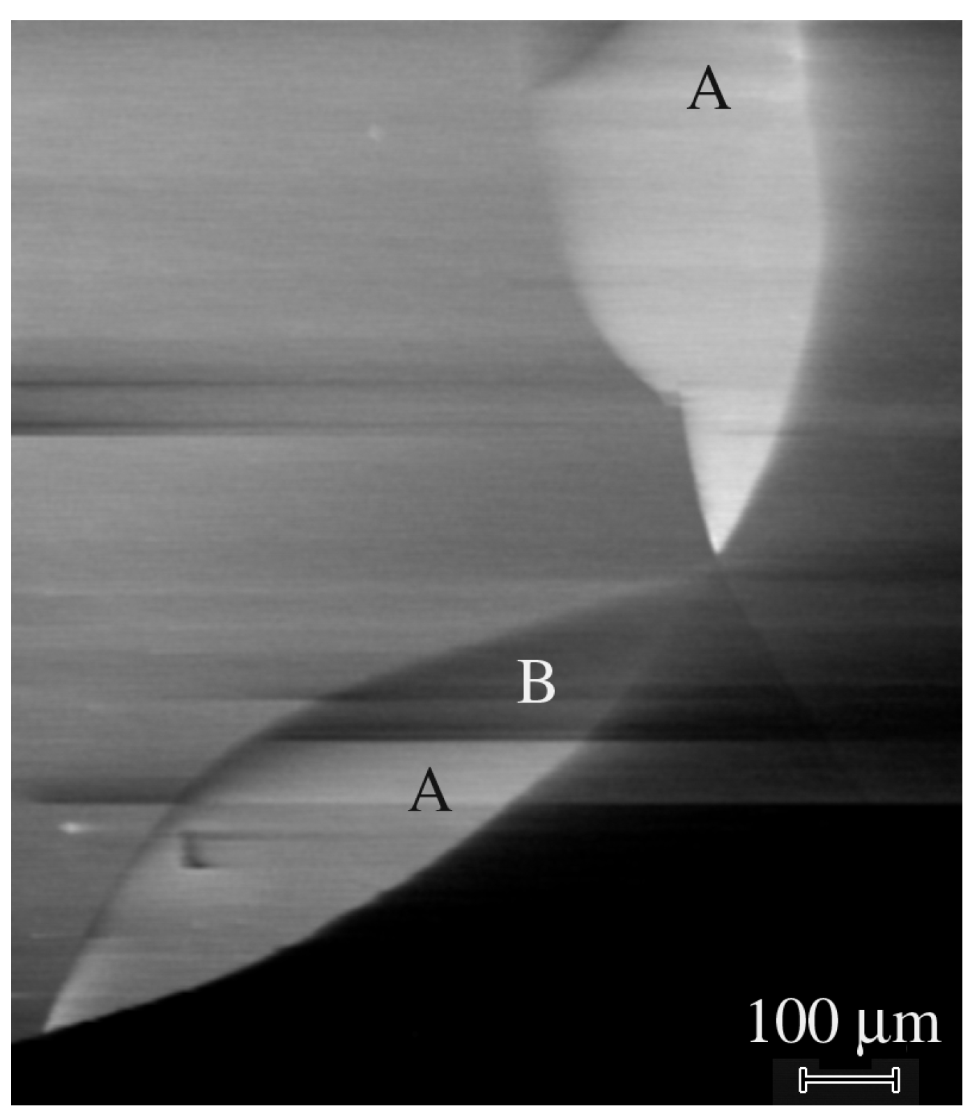 Nanomaterials 13 01214 g017