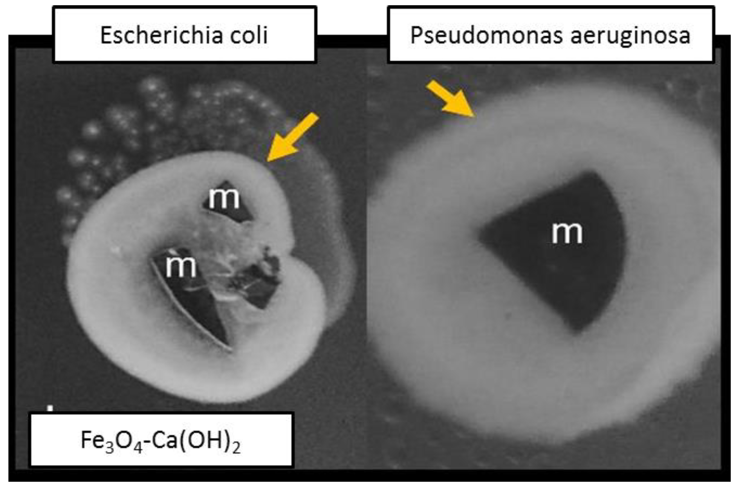 Nanomaterials 13 01215 g007 Nanomaterials 13 01215 g007