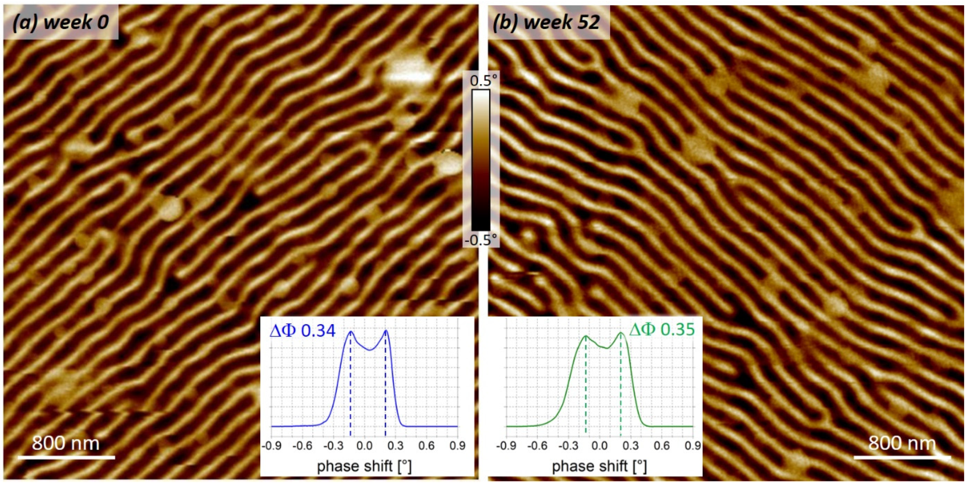 Nanomaterials 13 01217 g009 Nanomaterials 13 01217 g009