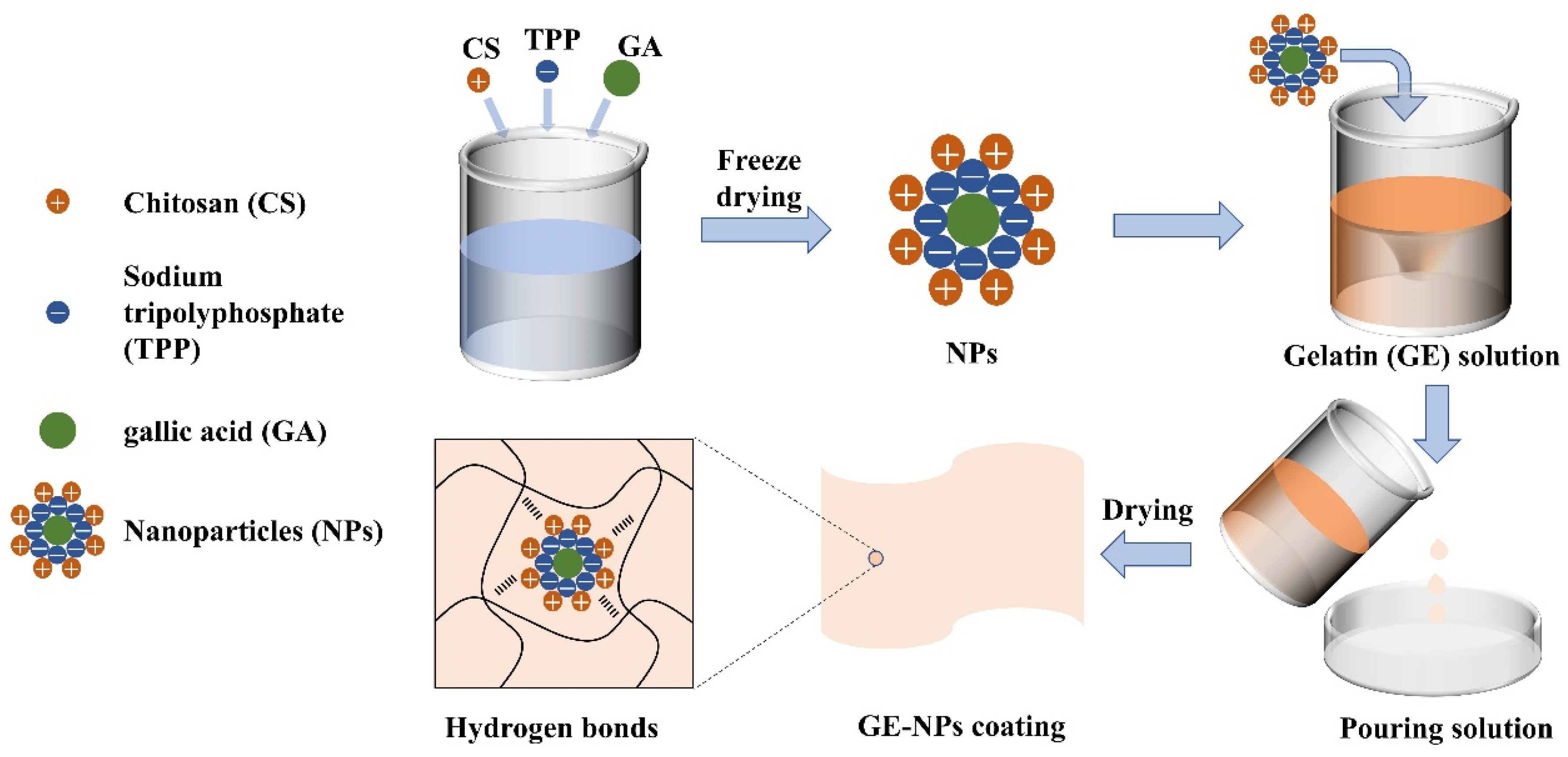 Nanomaterials 13 01220 g001 Nanomaterials 13 01220 g001