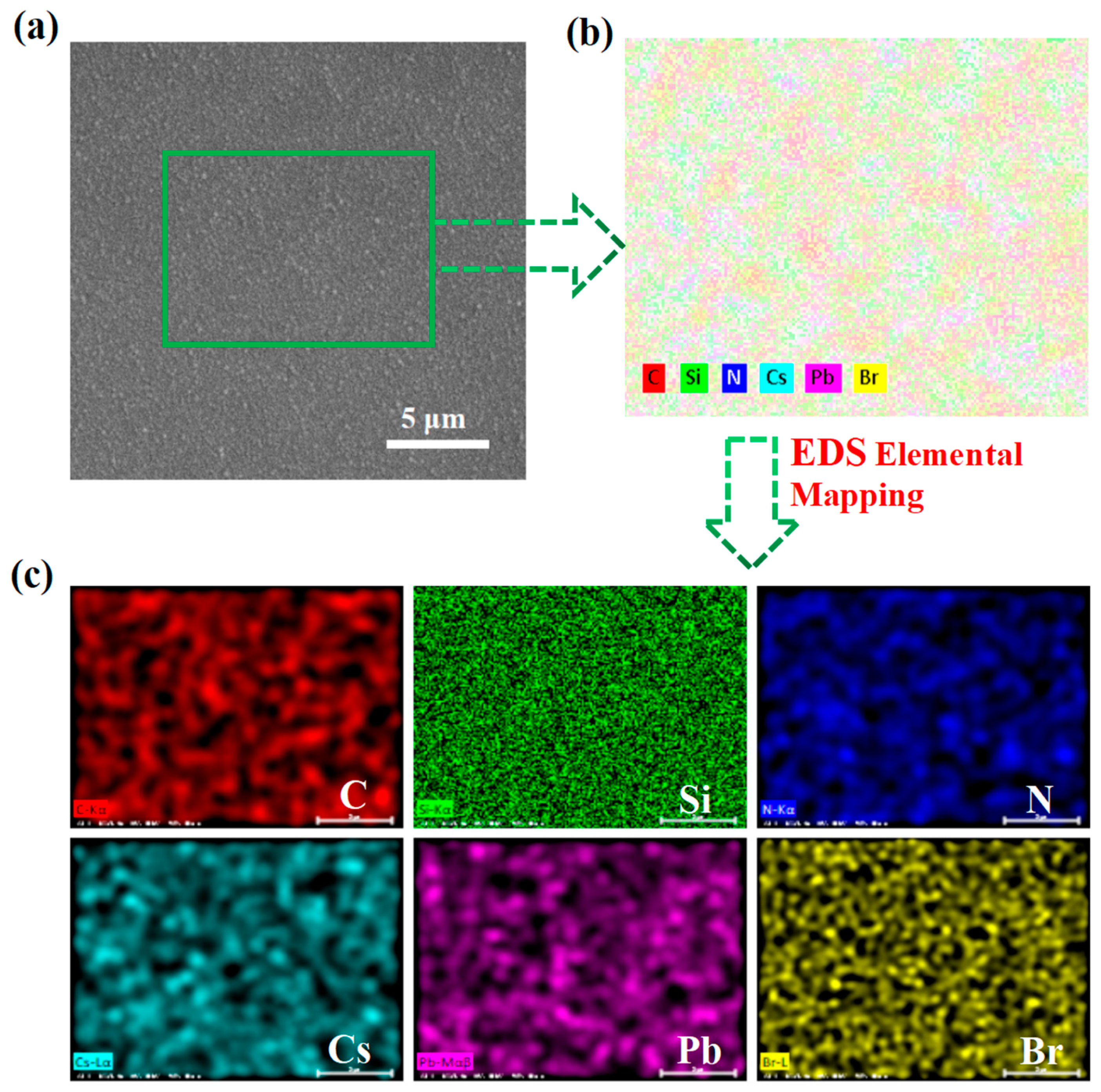 Nanomaterials 13 01228 g001