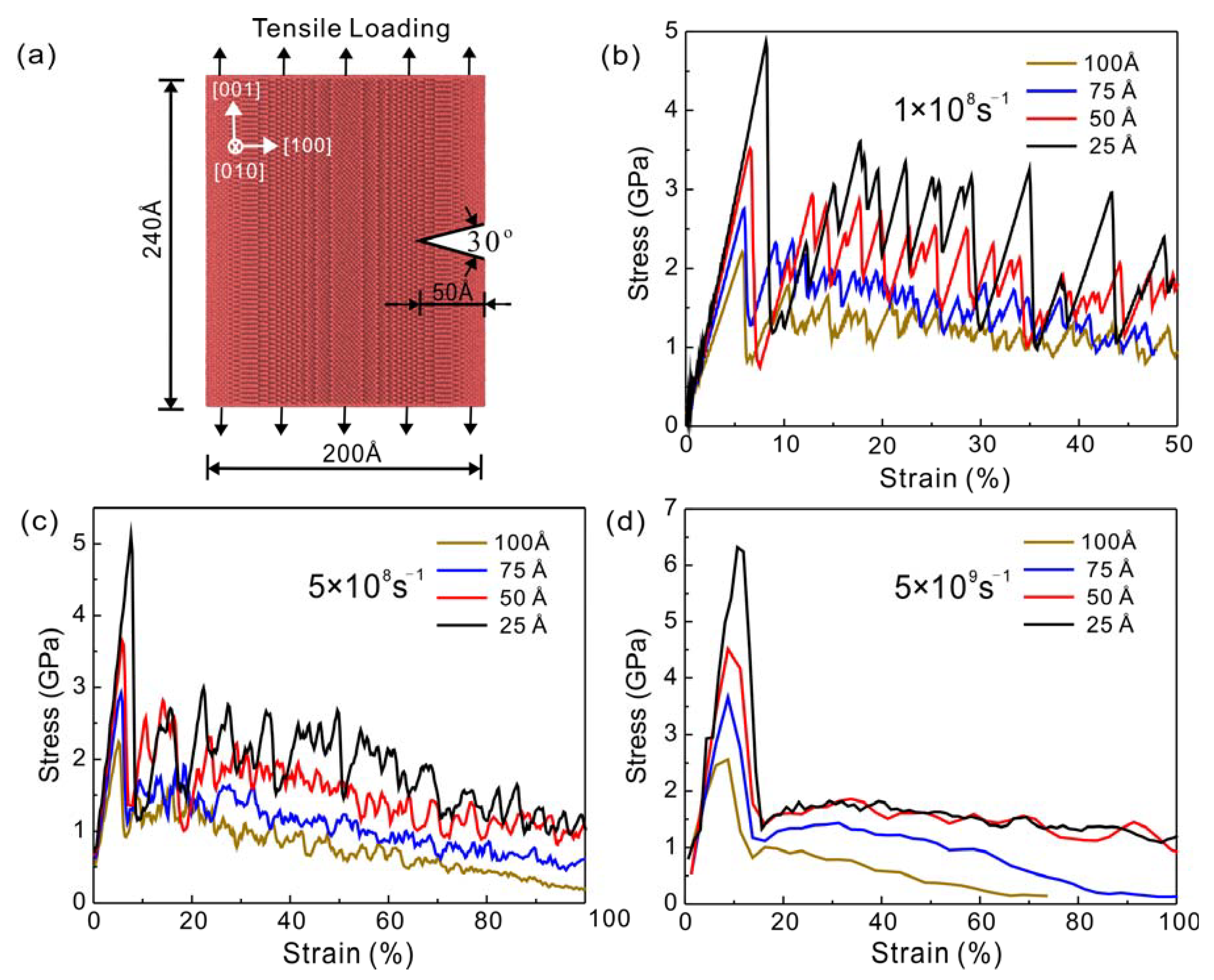 Nanomaterials 13 01231 g001
