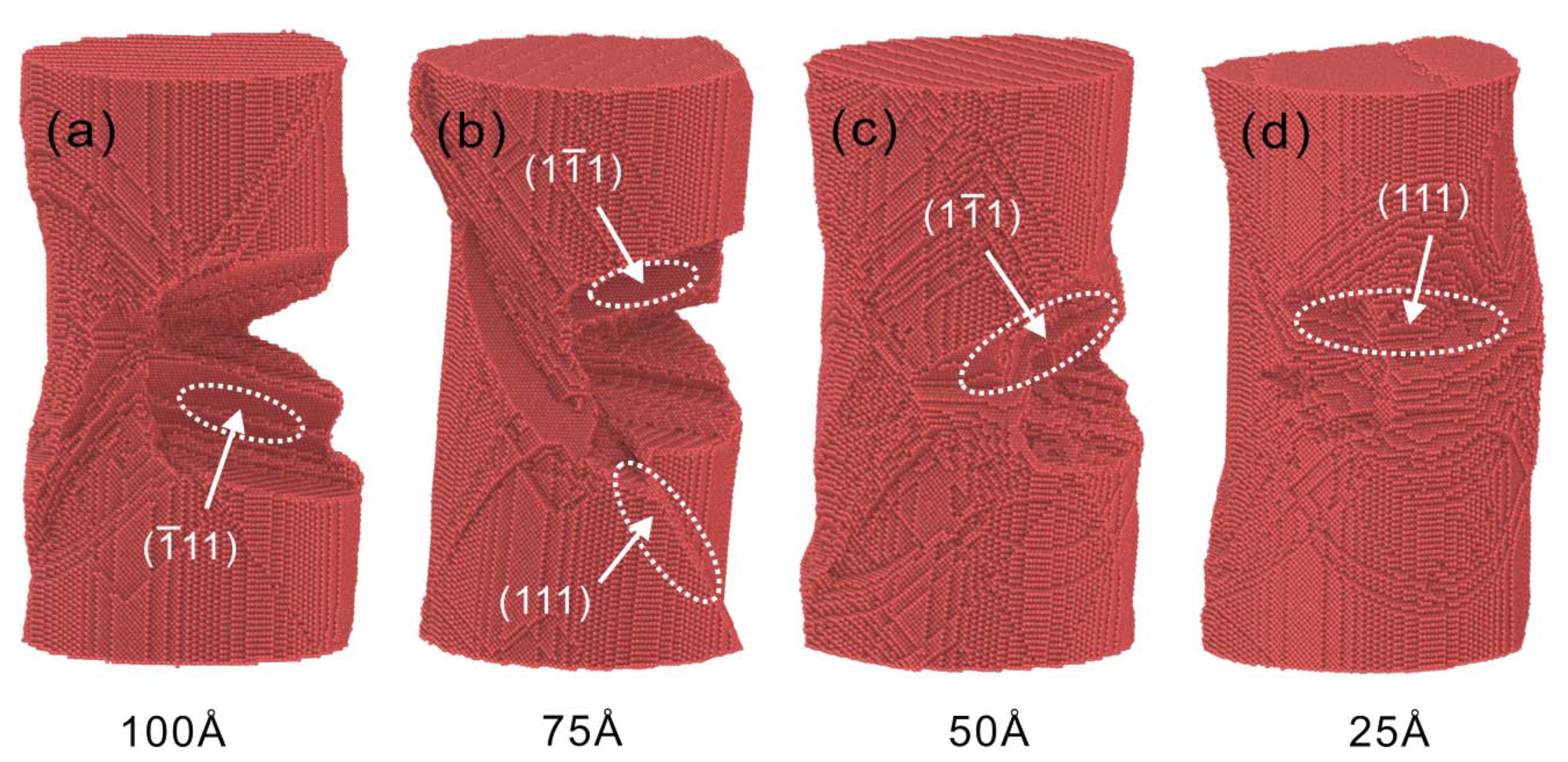 Nanomaterials 13 01231 g005