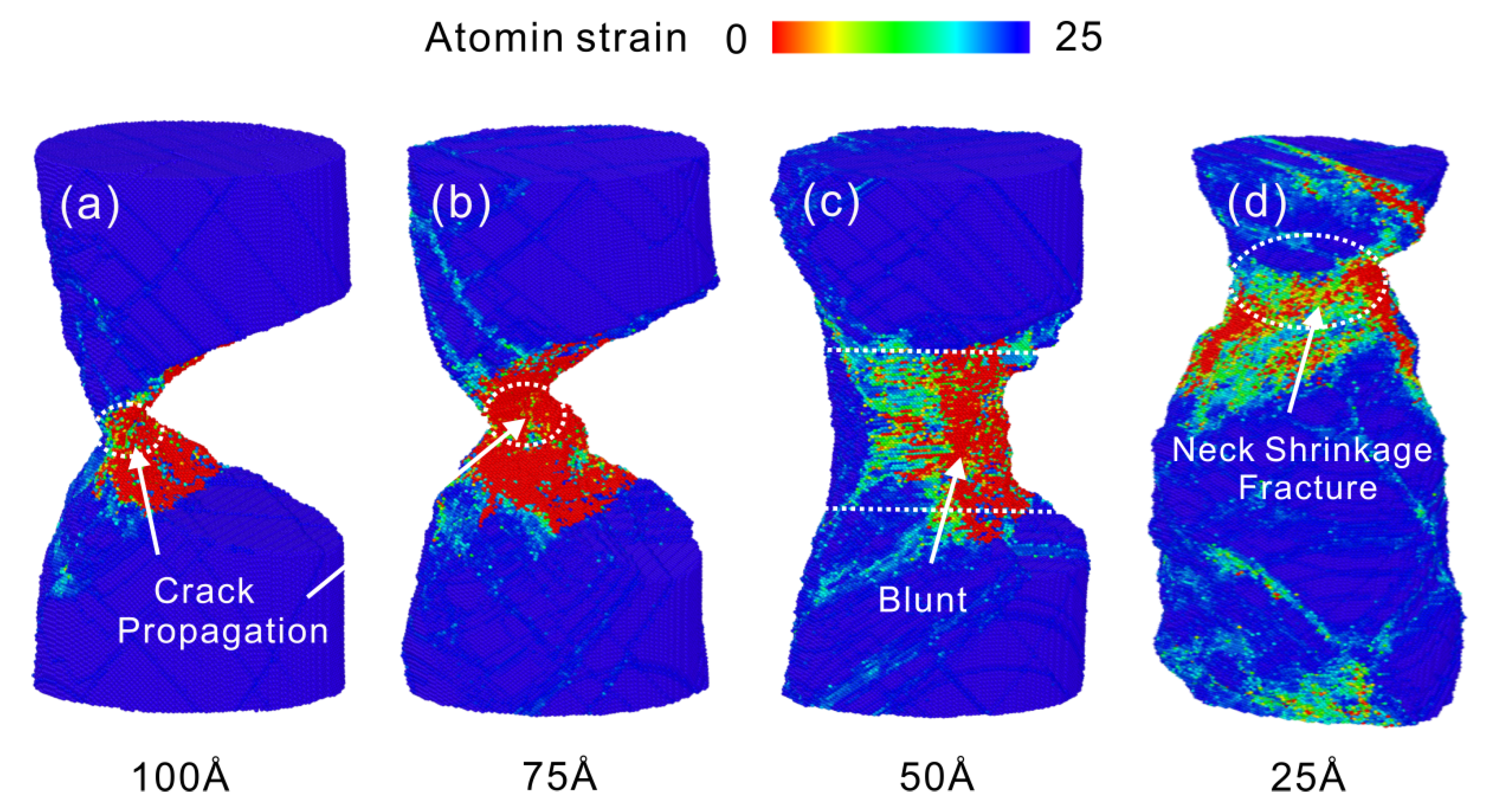 Nanomaterials 13 01231 g008