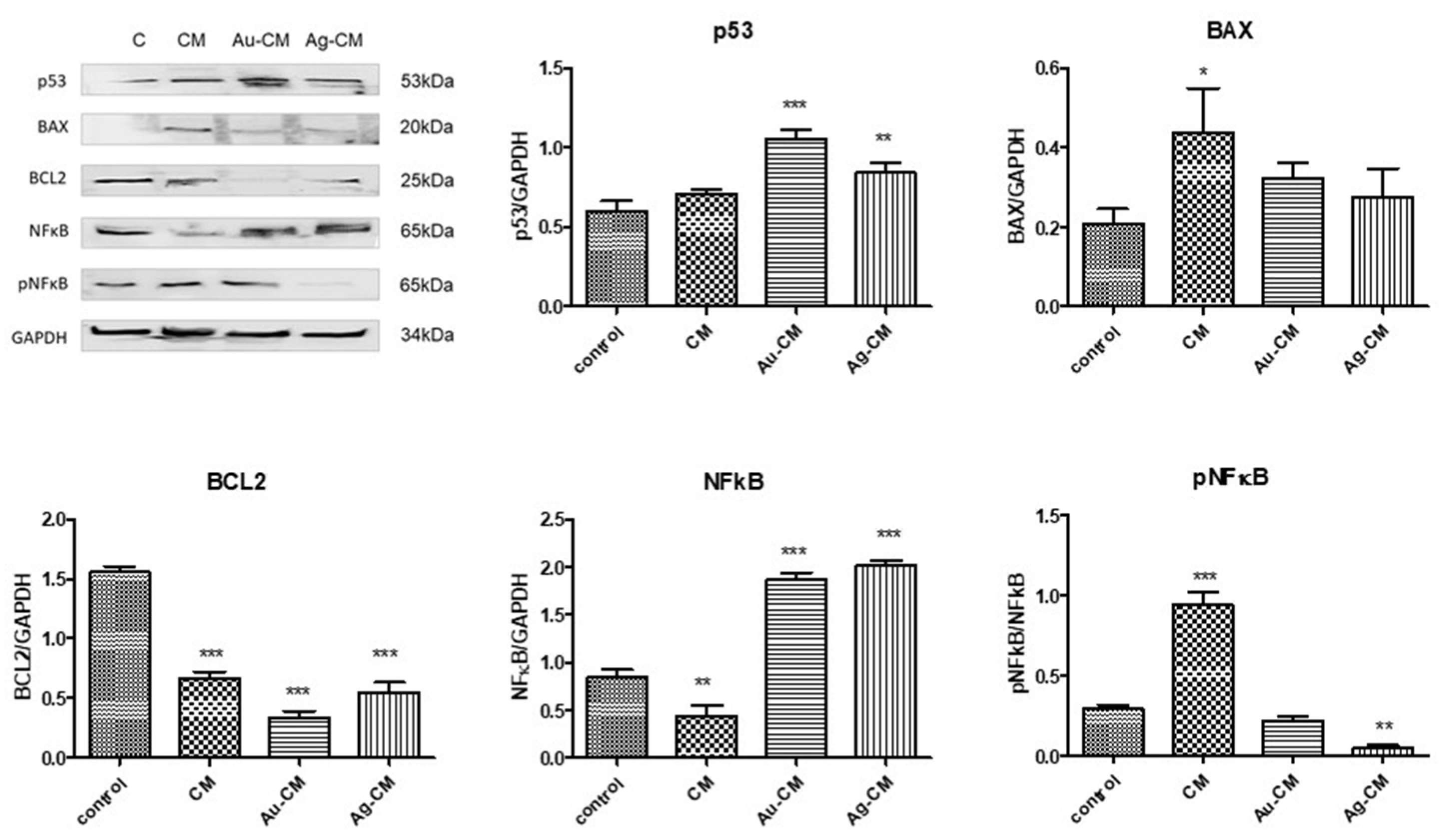 Nanomaterials 13 01251 g009 Nanomaterials 13 01251 g009