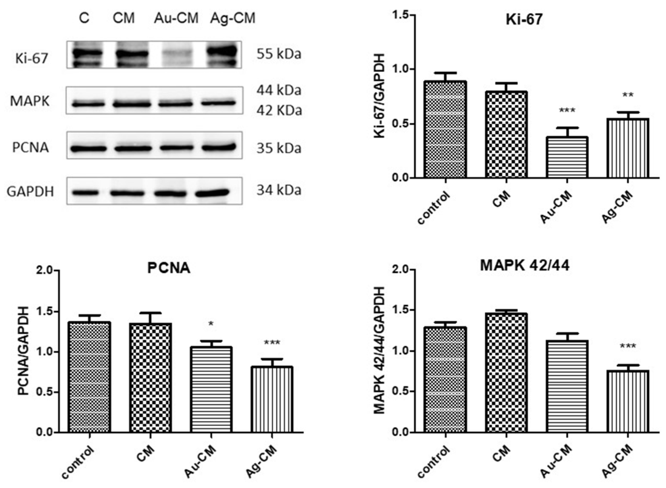 Nanomaterials 13 01251 g010 Nanomaterials 13 01251 g010