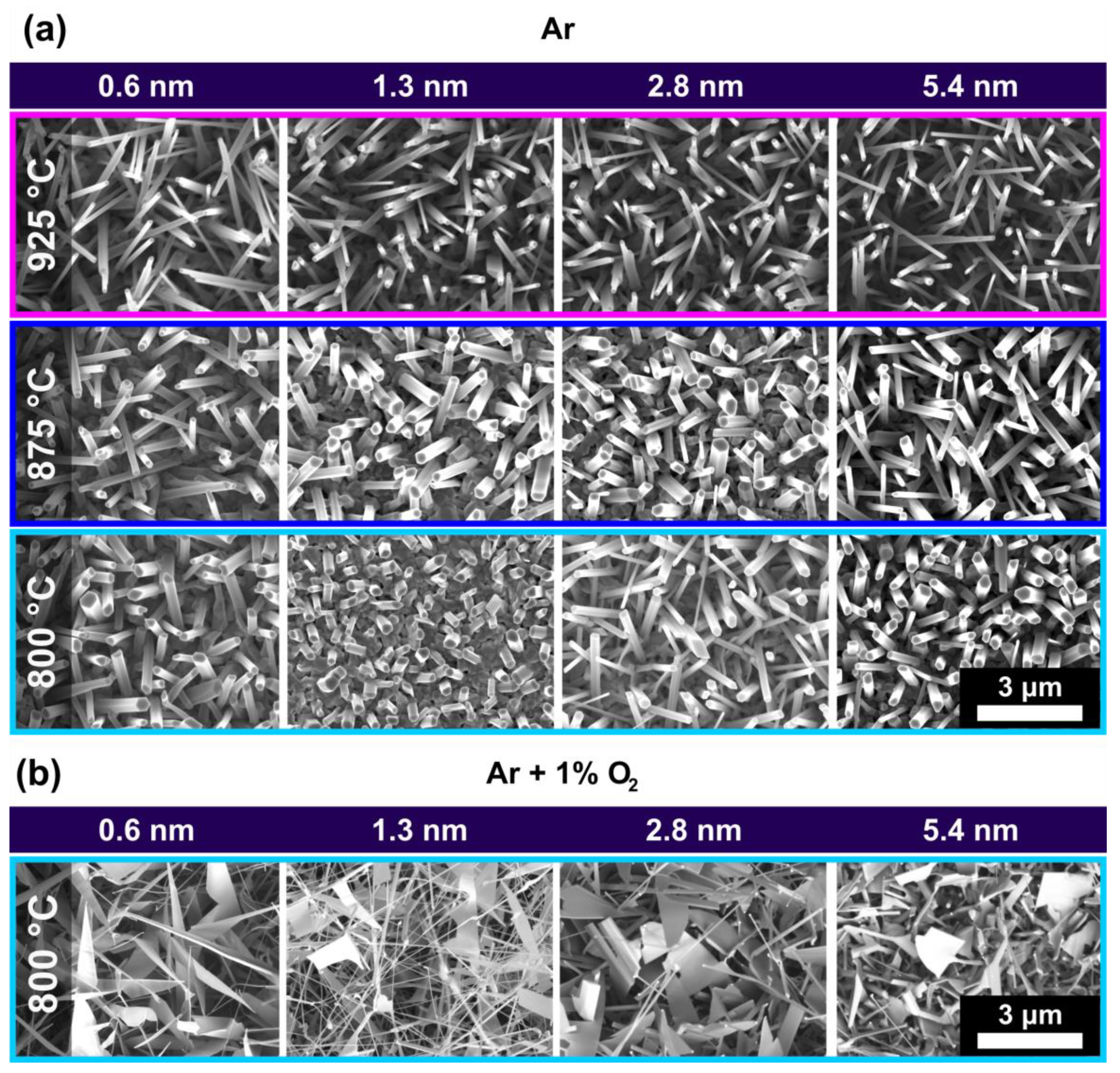 Nanomaterials 13 01258 g002