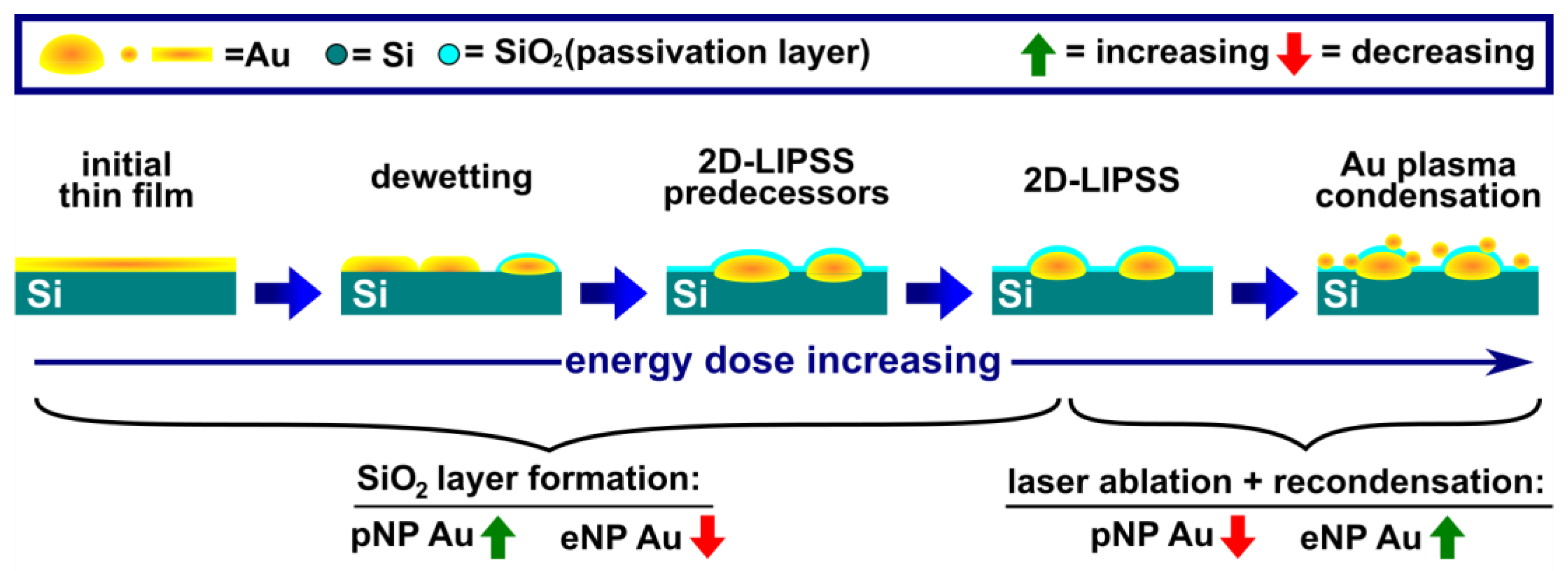 Nanomaterials 13 01258 g004