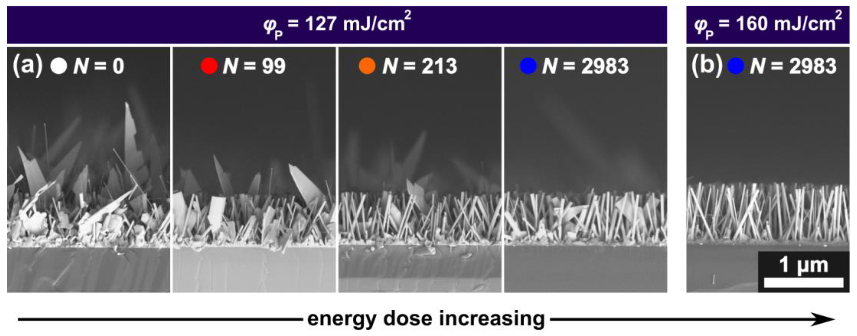 Nanomaterials 13 01258 g009