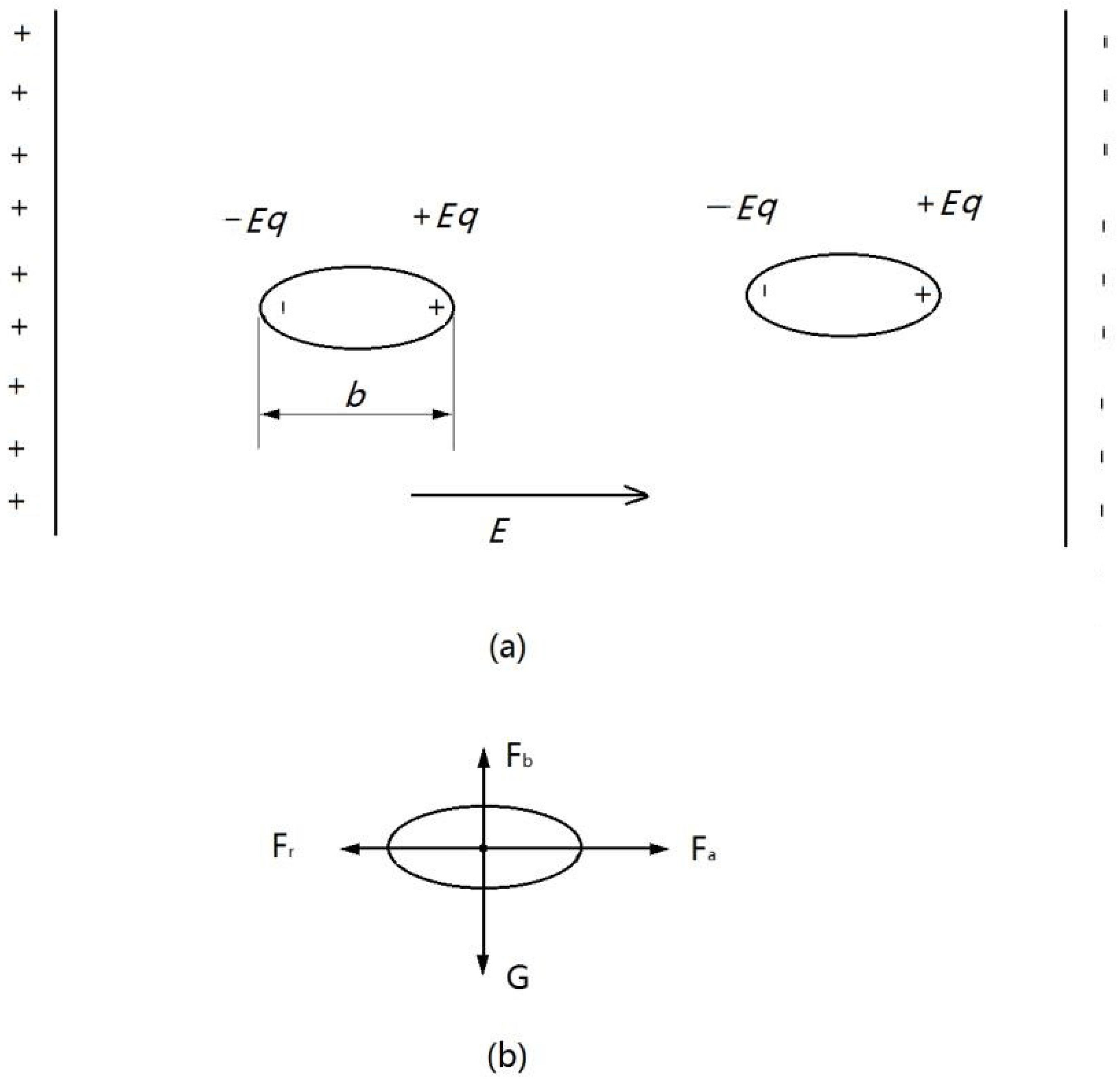 Nanomaterials 13 01278 g002