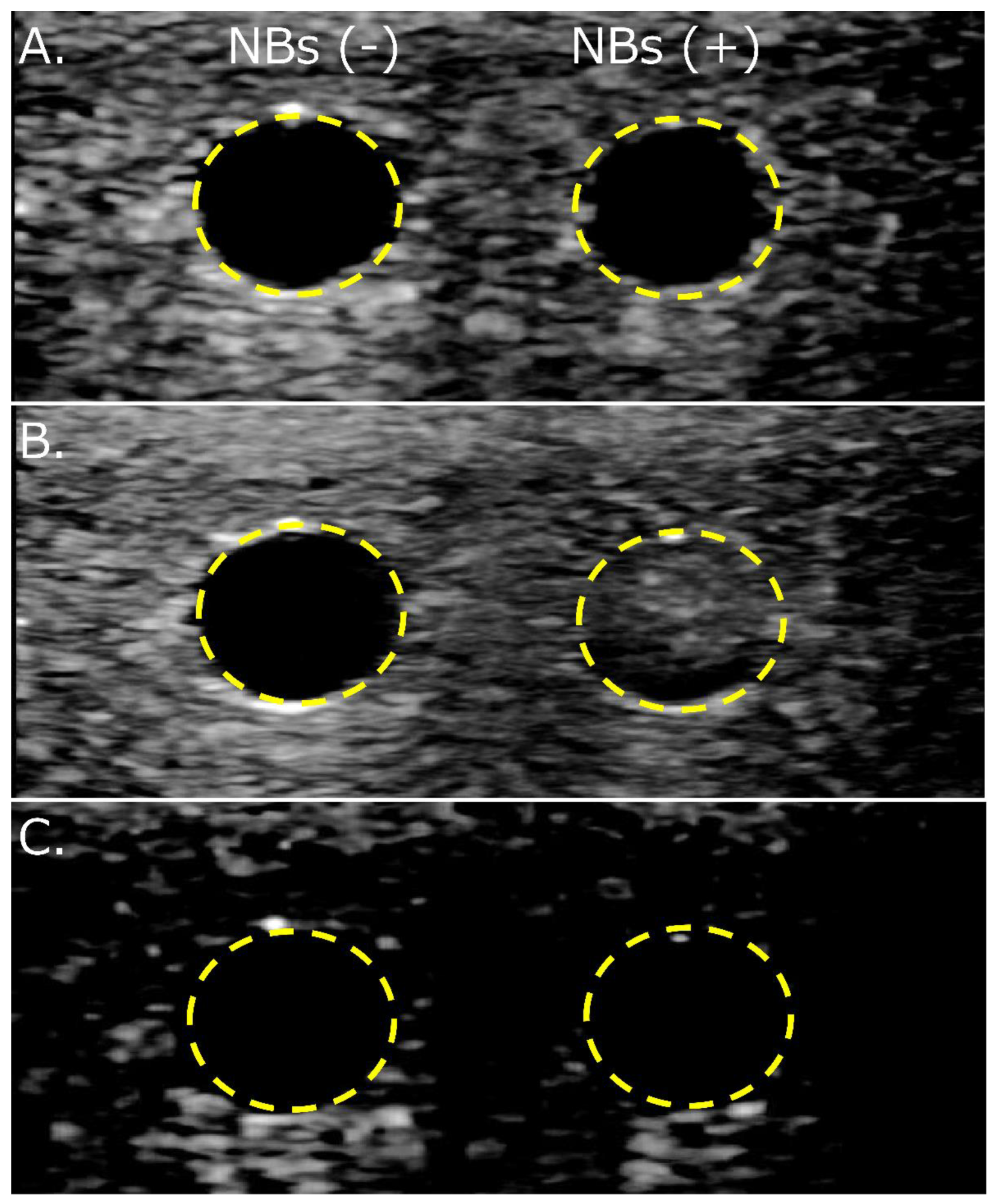 Nanomaterials 13 01283 g007 Nanomaterials 13 01283 g007