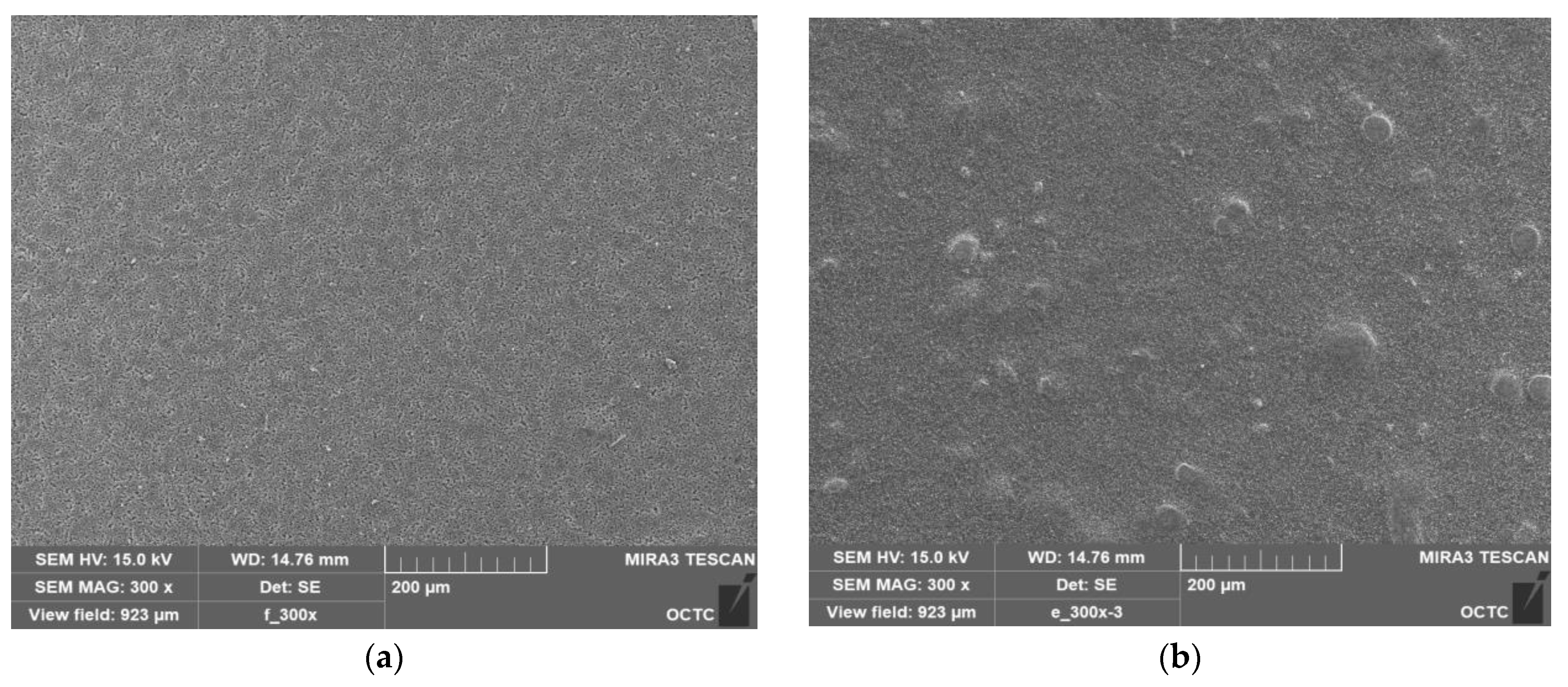 Nanomaterials 13 01289 g004a