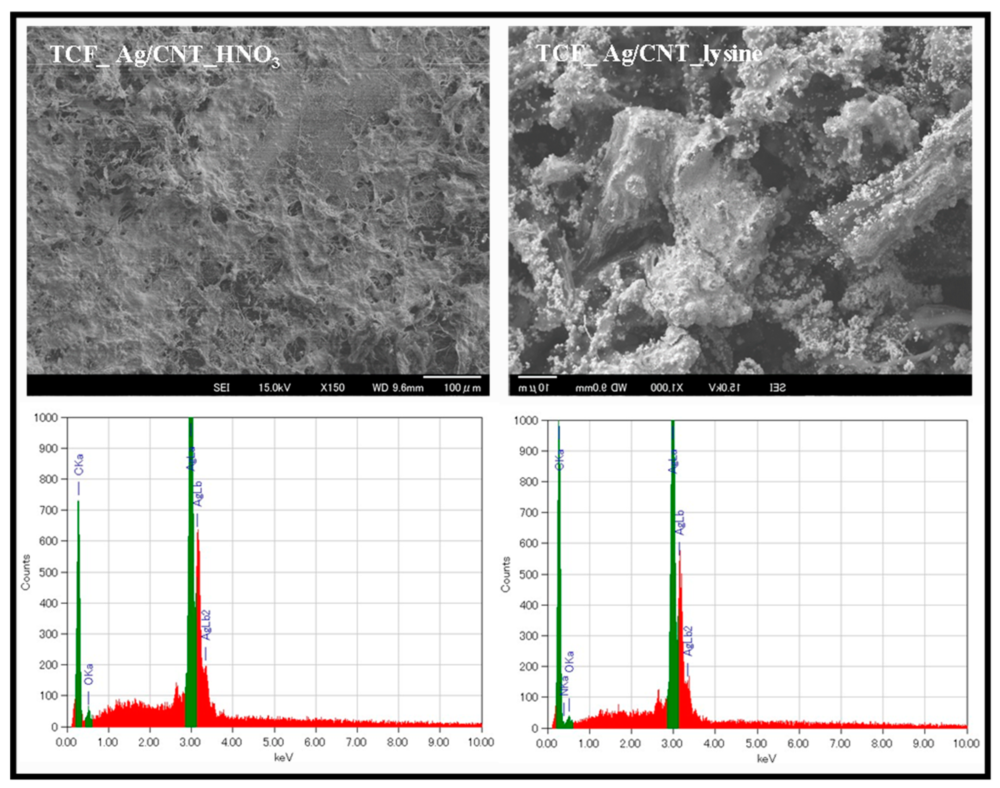 Nanomaterials 13 01297 g007