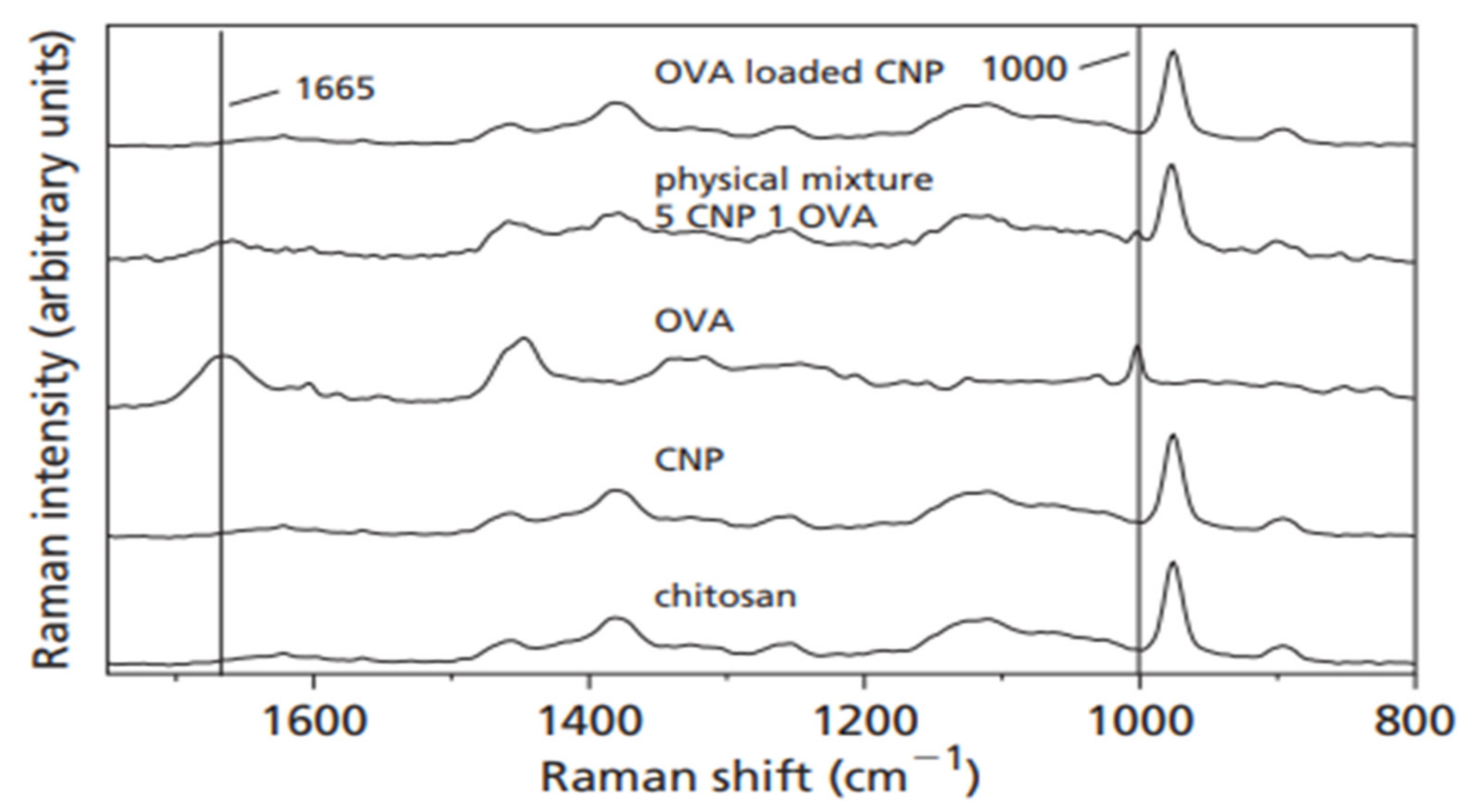 Nanomaterials 13 01302 g003