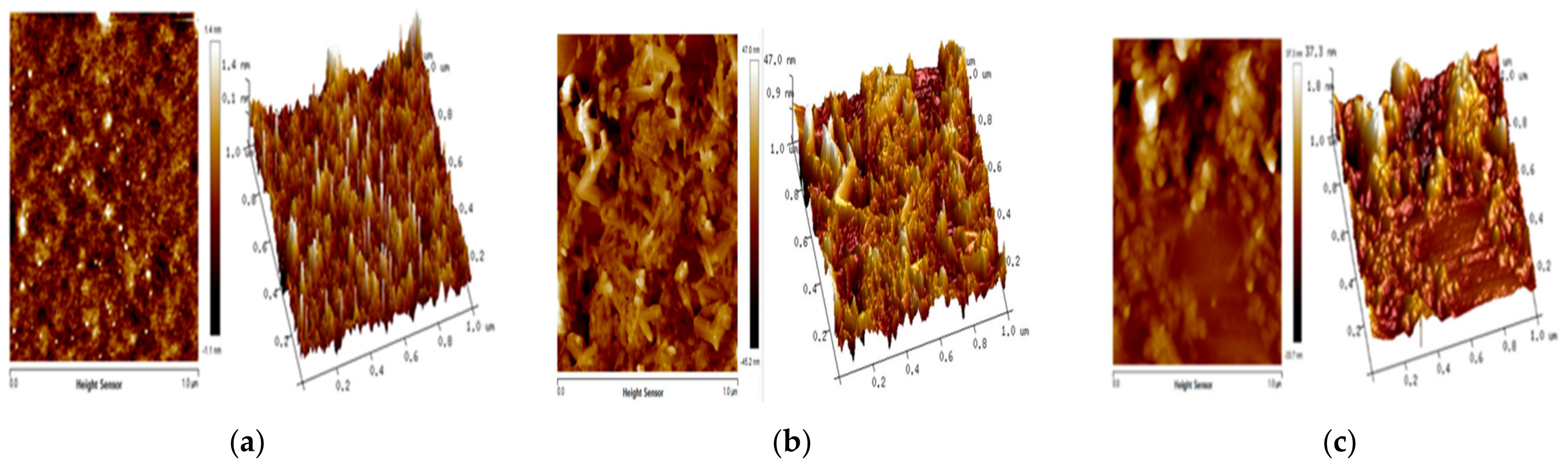 Nanomaterials 13 01302 g005