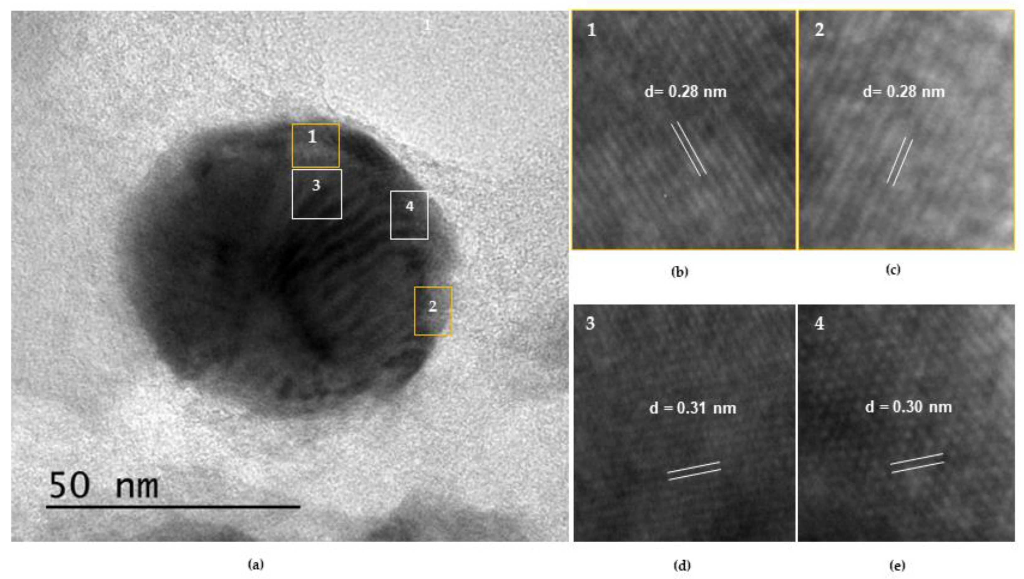 Nanomaterials 13 01304 g010