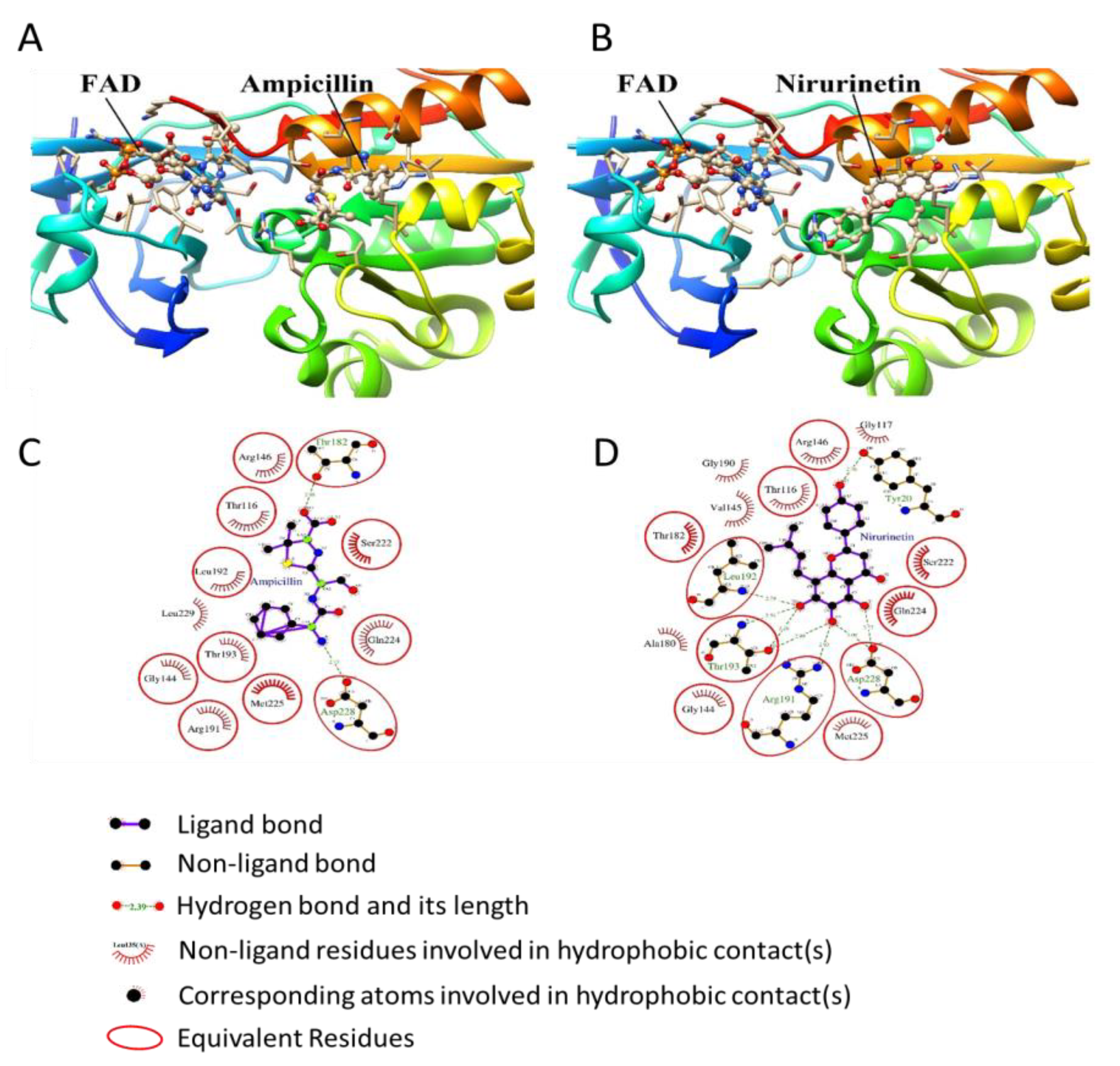 Nanomaterials 13 01306 g004