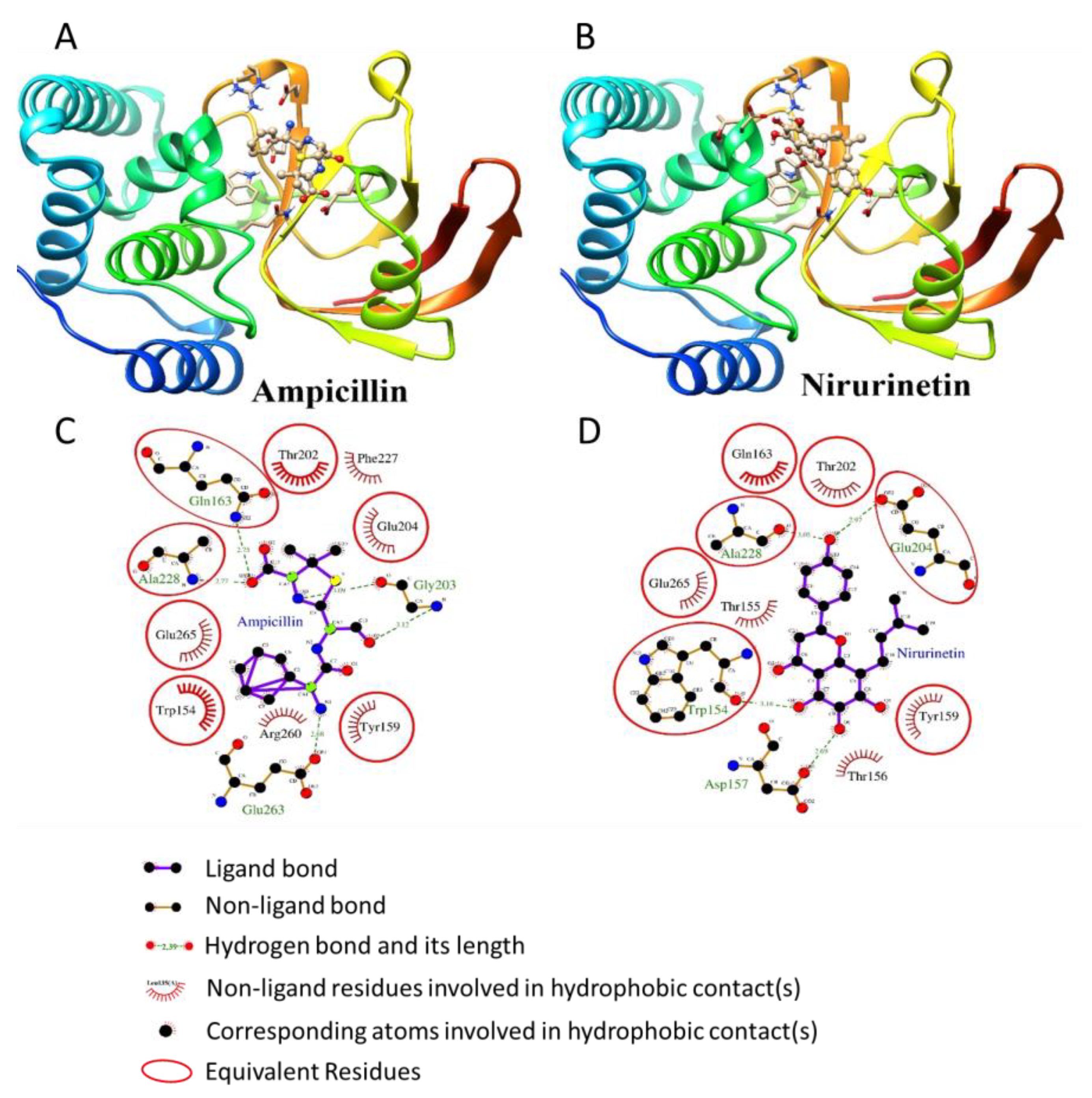 Nanomaterials 13 01306 g005