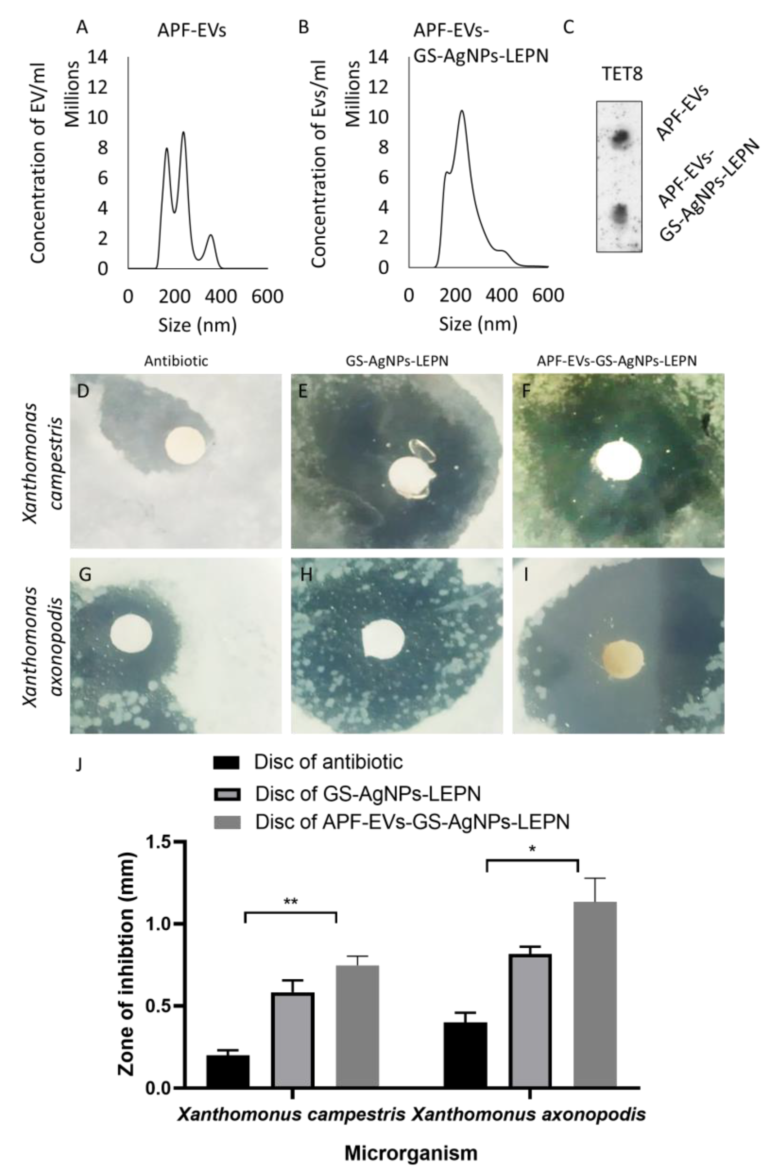 Nanomaterials 13 01306 g006