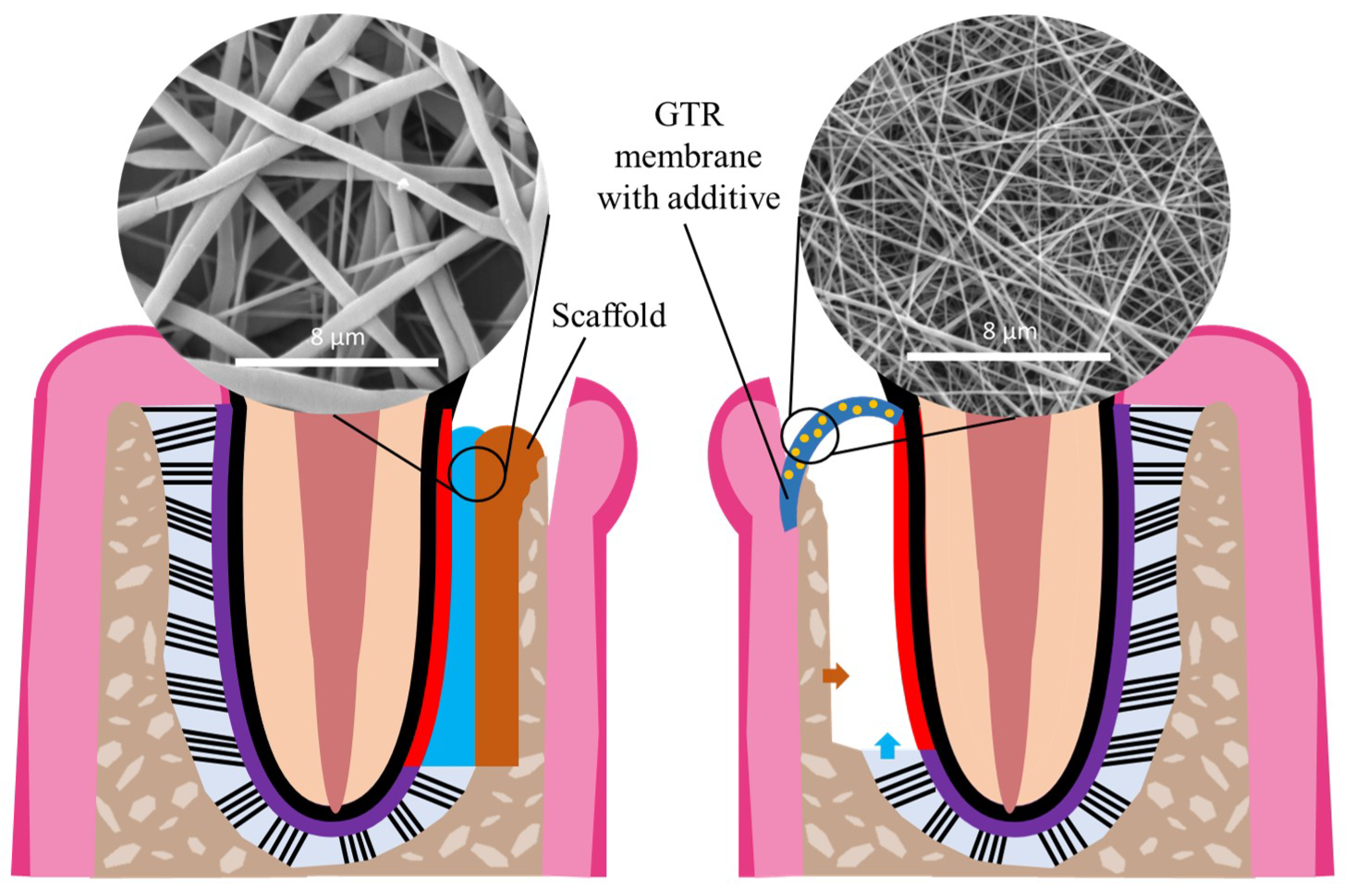 Nanomaterials 13 01307 g004