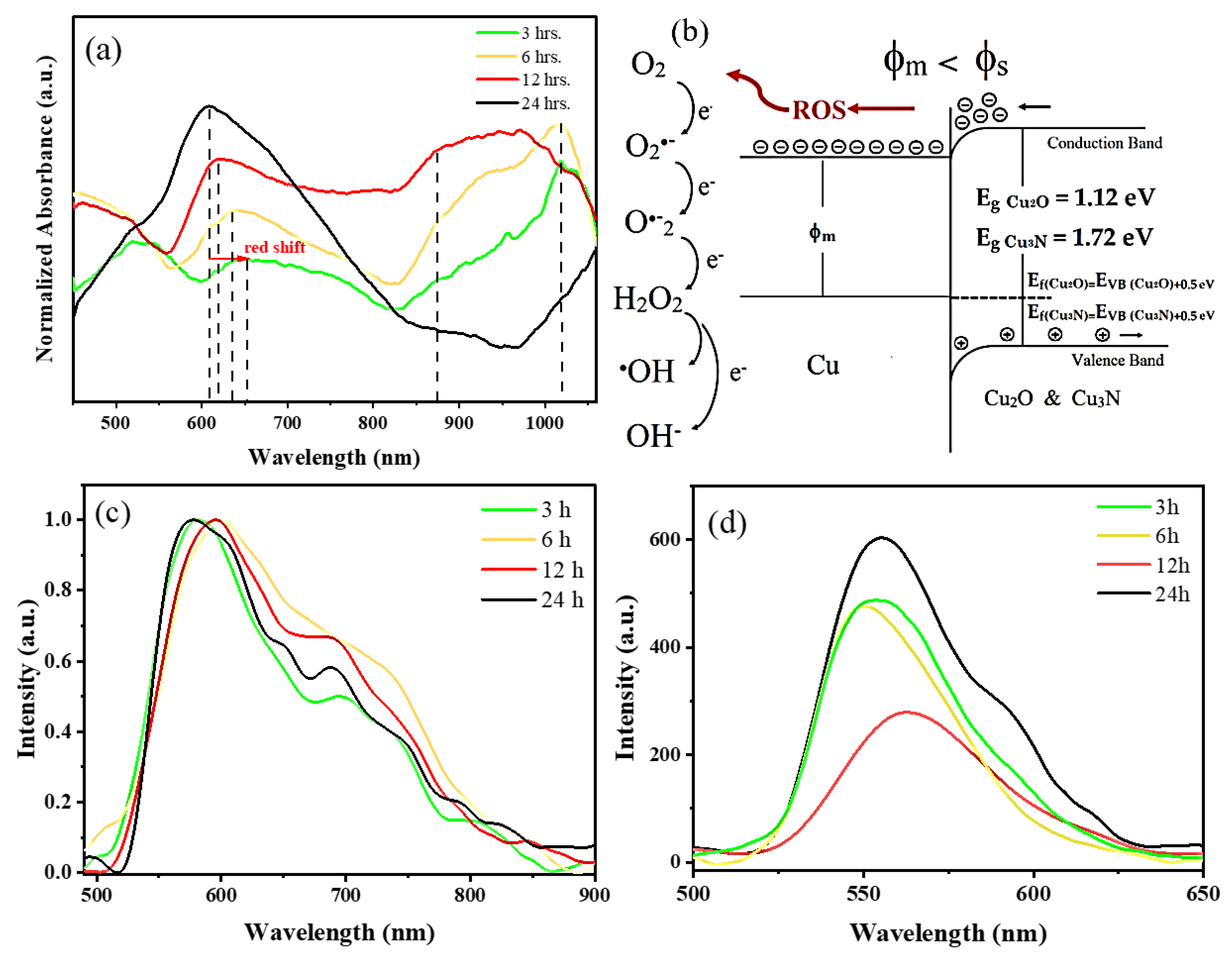 Nanomaterials 13 01311 g005