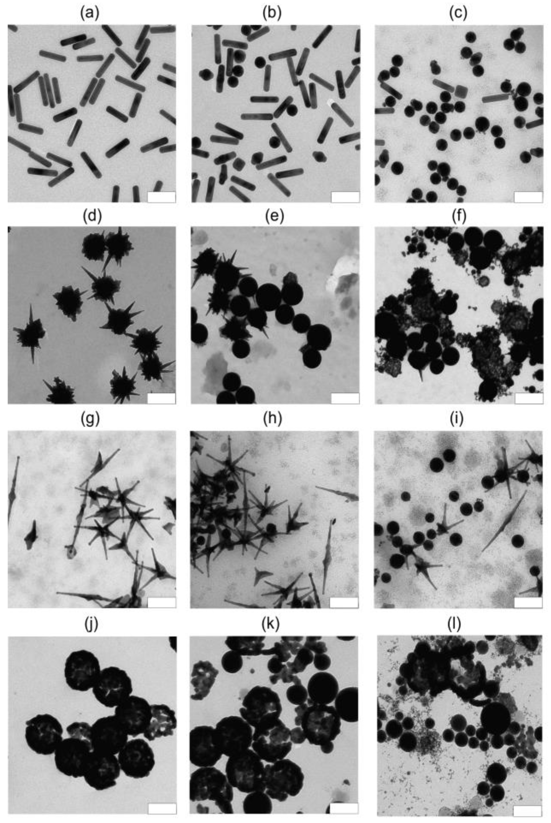Nanomaterials 13 01312 g006 Nanomaterials 13 01312 g006