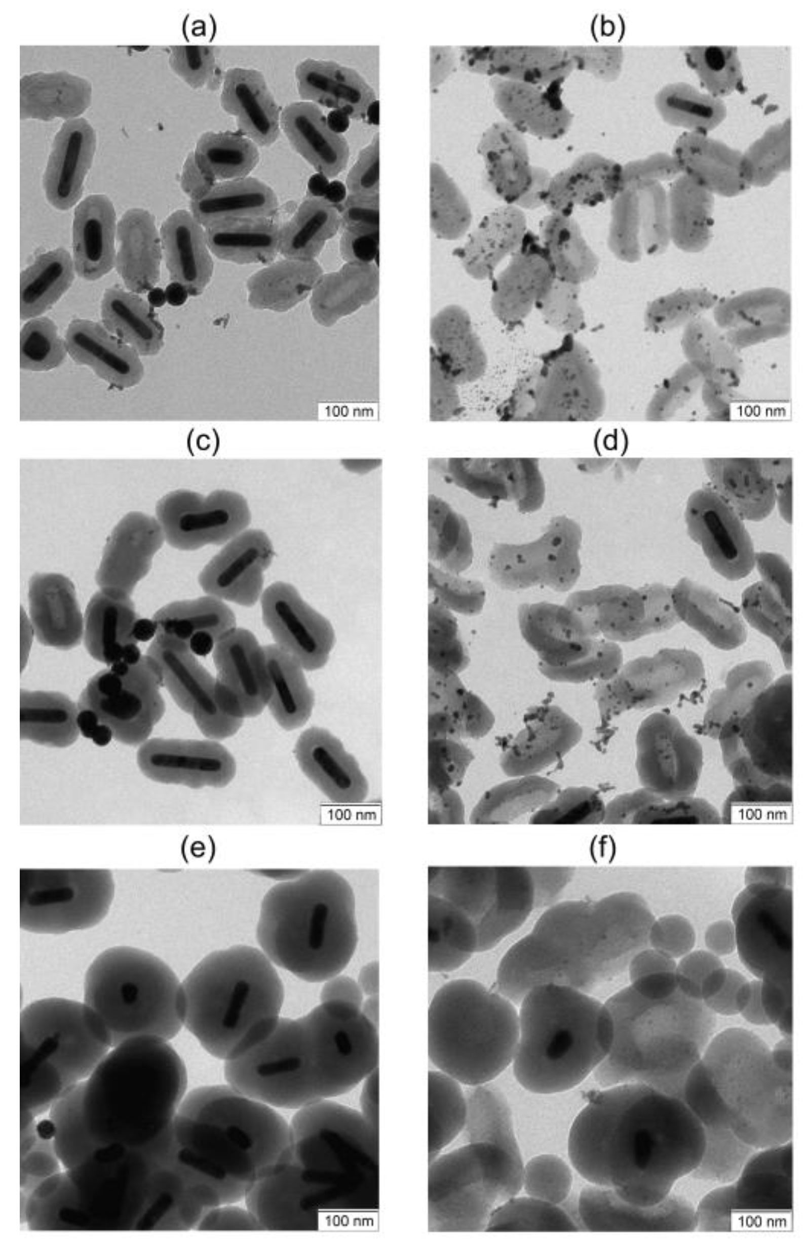 Nanomaterials 13 01312 g008 Nanomaterials 13 01312 g008