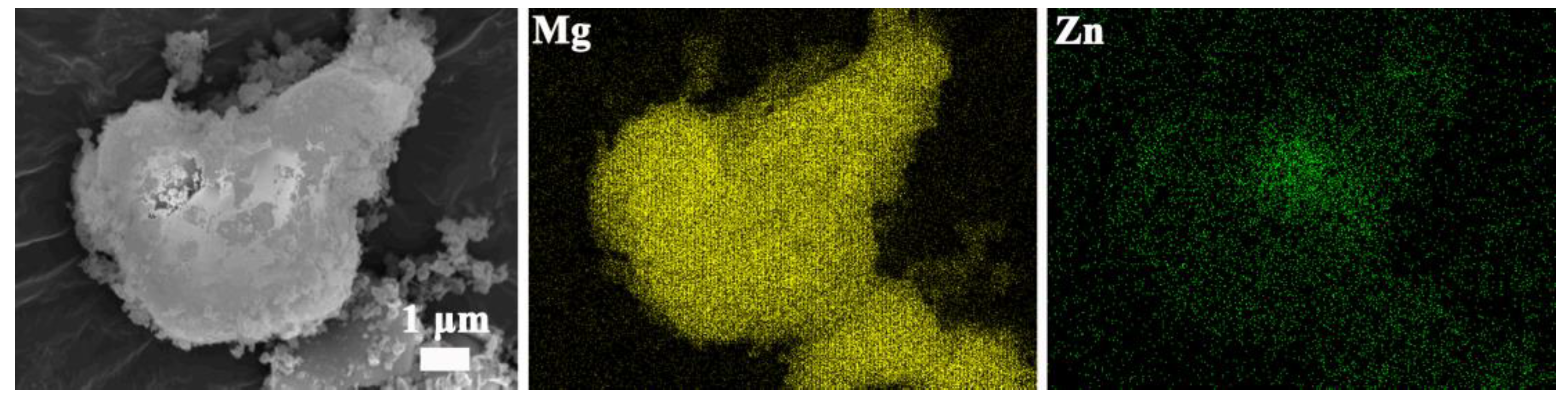 Nanomaterials 13 01321 g010
