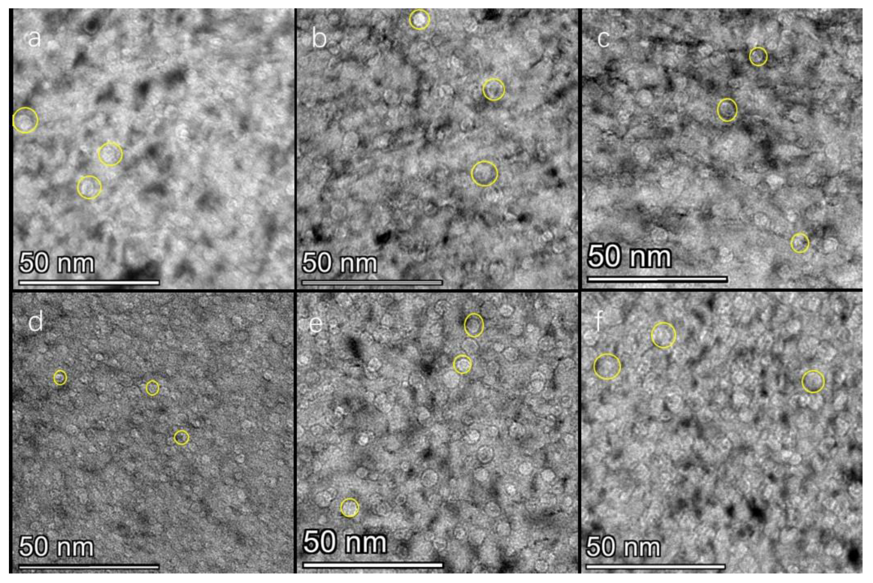 Nanomaterials 13 01324 g001 Nanomaterials 13 01324 g001