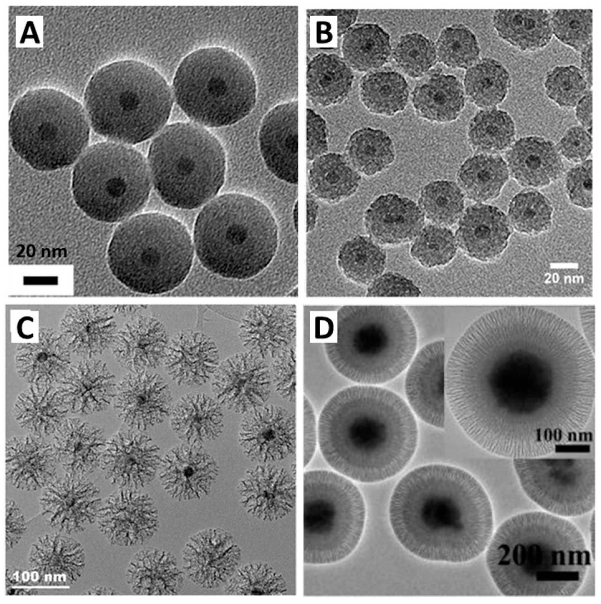 Nanomaterials 13 01342 g002