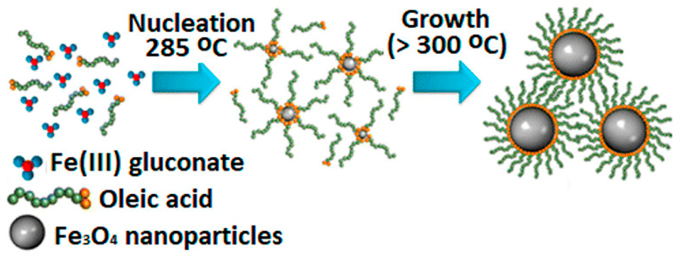 Nanomaterials 13 01342 g005