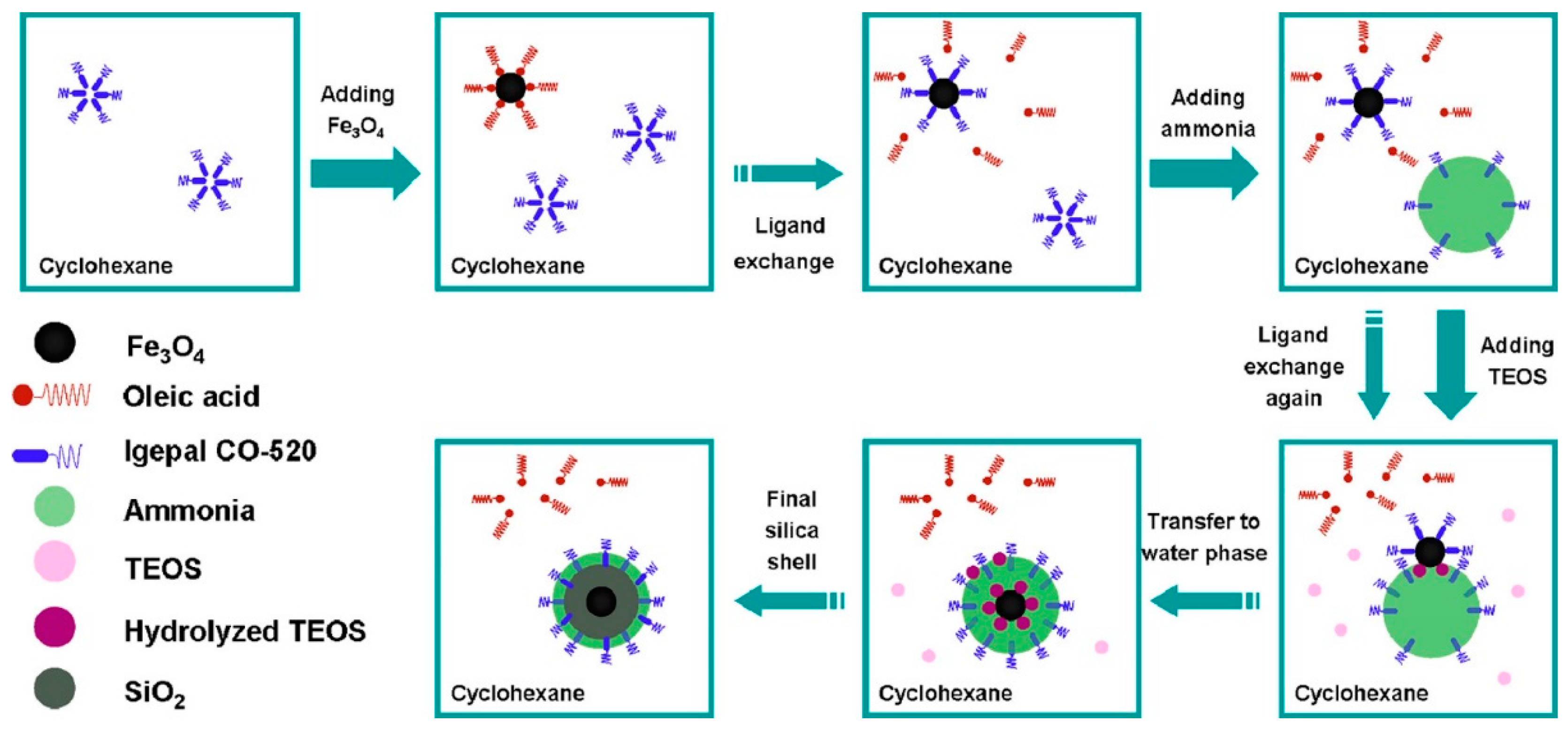 Nanomaterials 13 01342 g007
