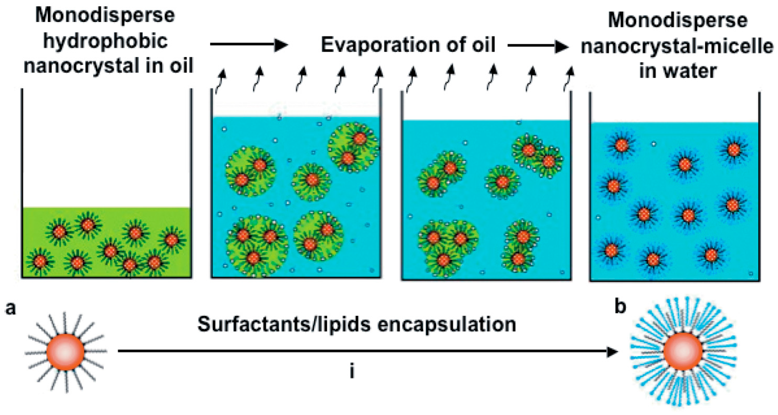 Nanomaterials 13 01342 g008