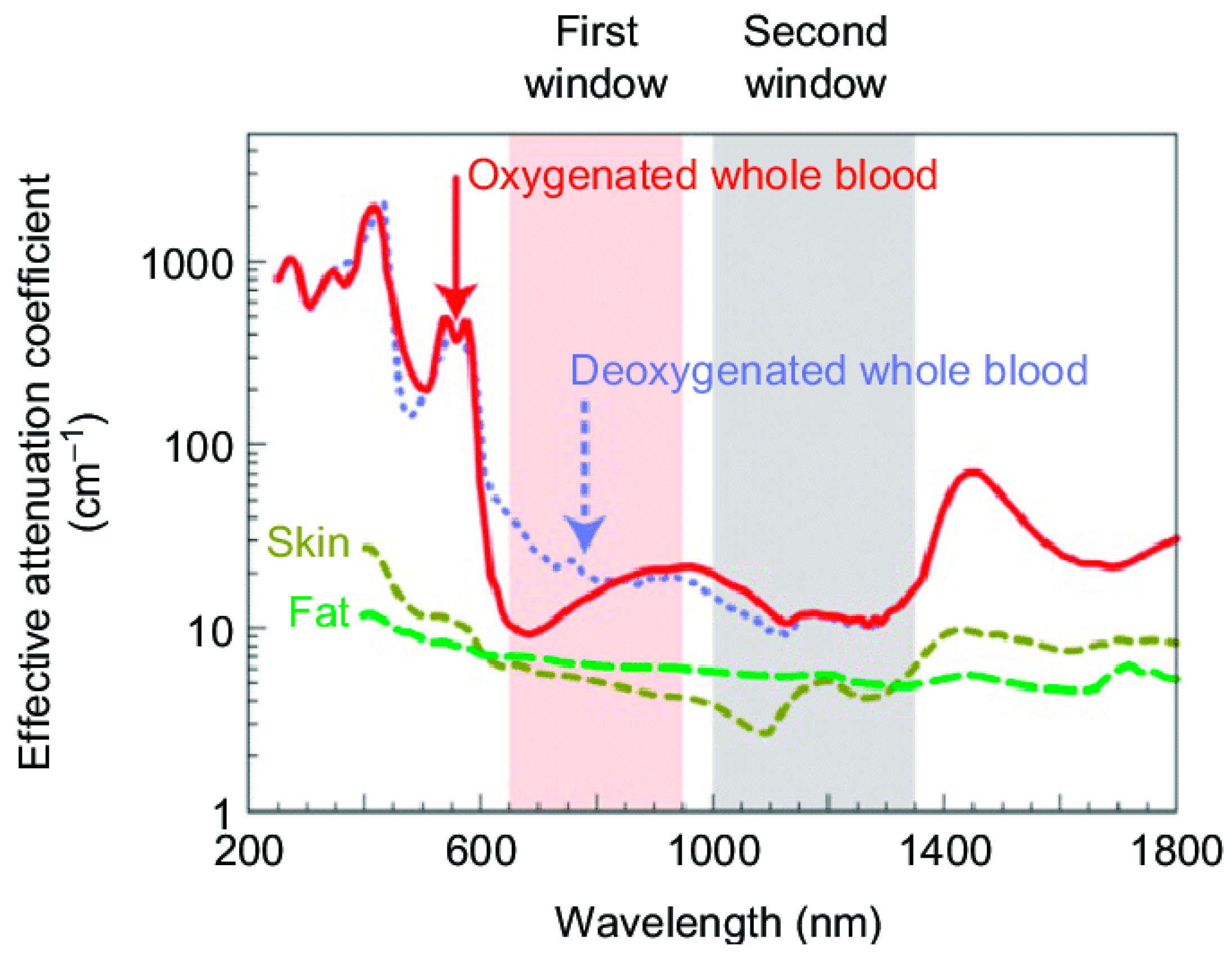 Nanomaterials 13 01342 g012