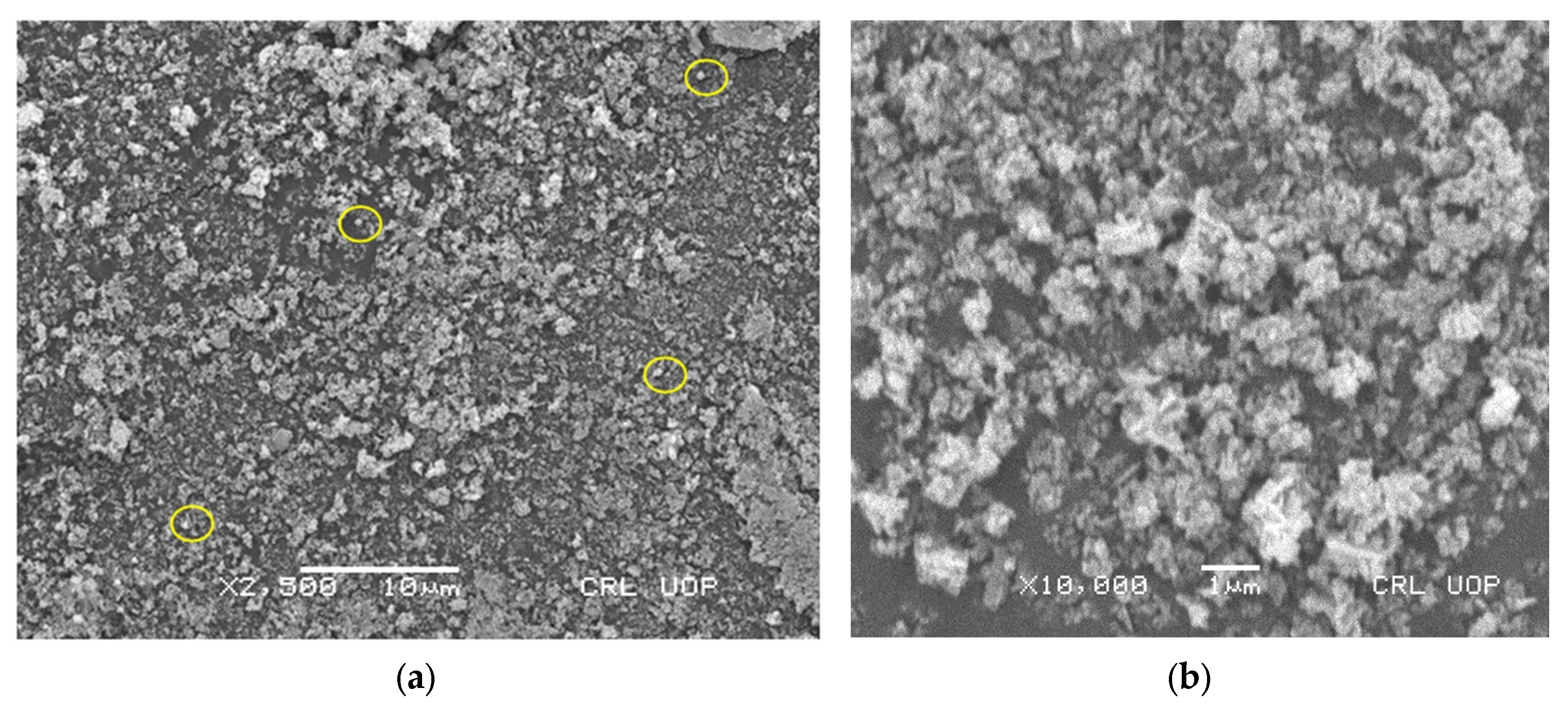Nanomaterials 13 01343 g005 Nanomaterials 13 01343 g005