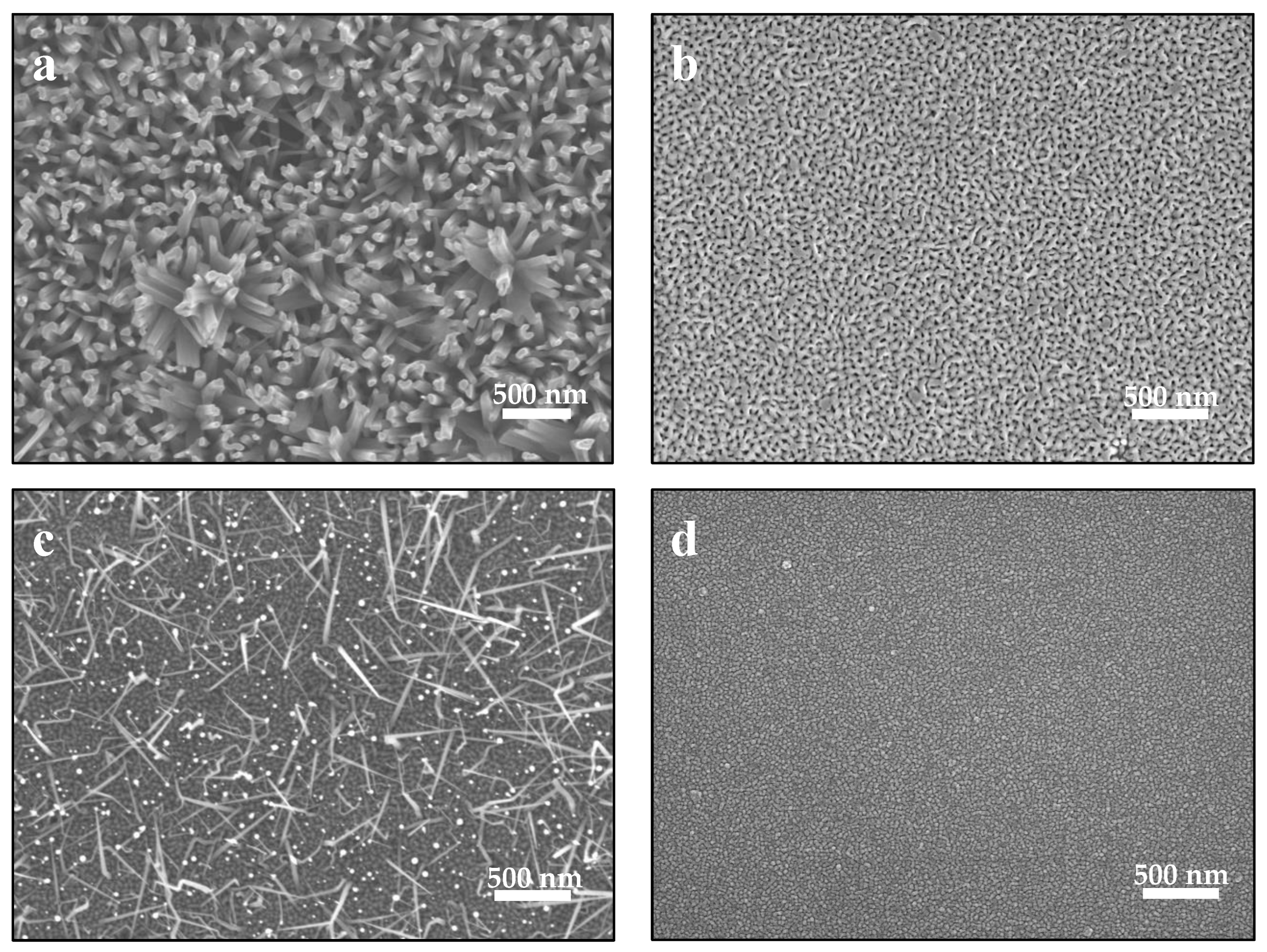 Nanomaterials 13 01345 g002